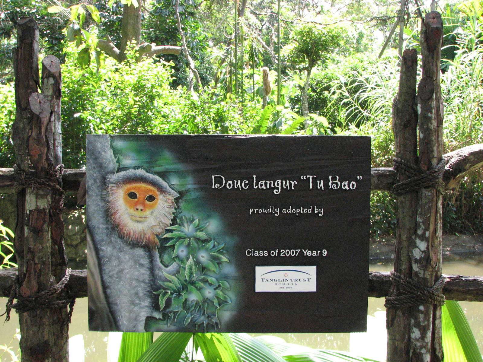 Singapore Zoo 2008 - Beautiful sign on the Douc Langur exhibit in Primate K