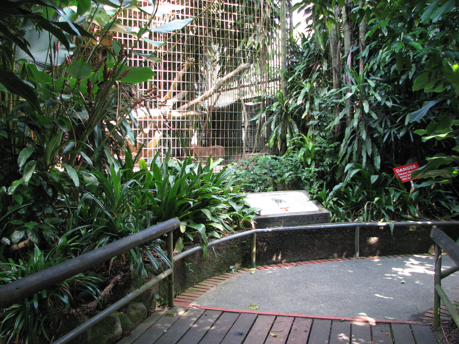 Singapore Zoo 2008 - Caracal enclosure