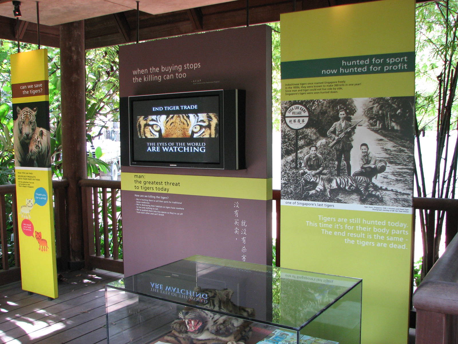 Singapore Zoo 2008 - Educational displays in front of the White Tiger exhib