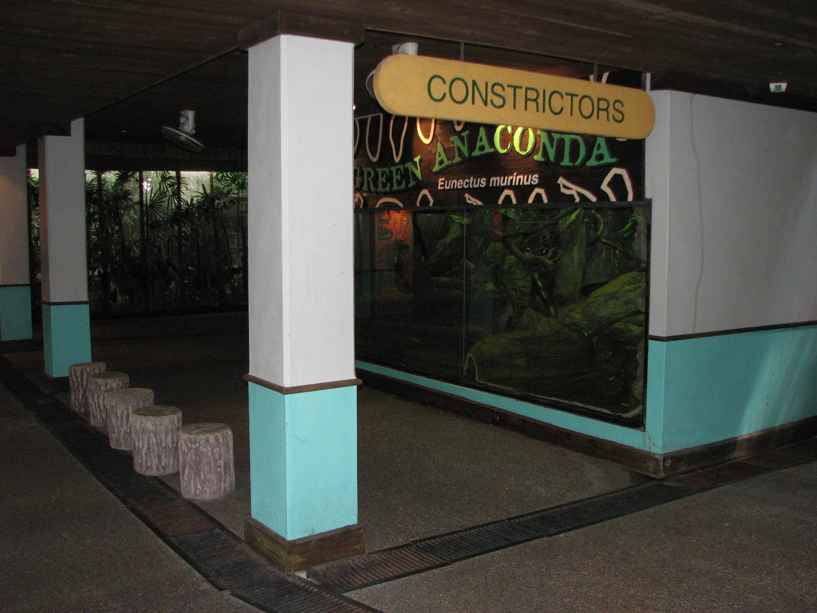 Singapore Zoo 2008 - Entrance to the Constrictors section in the Snake Hous