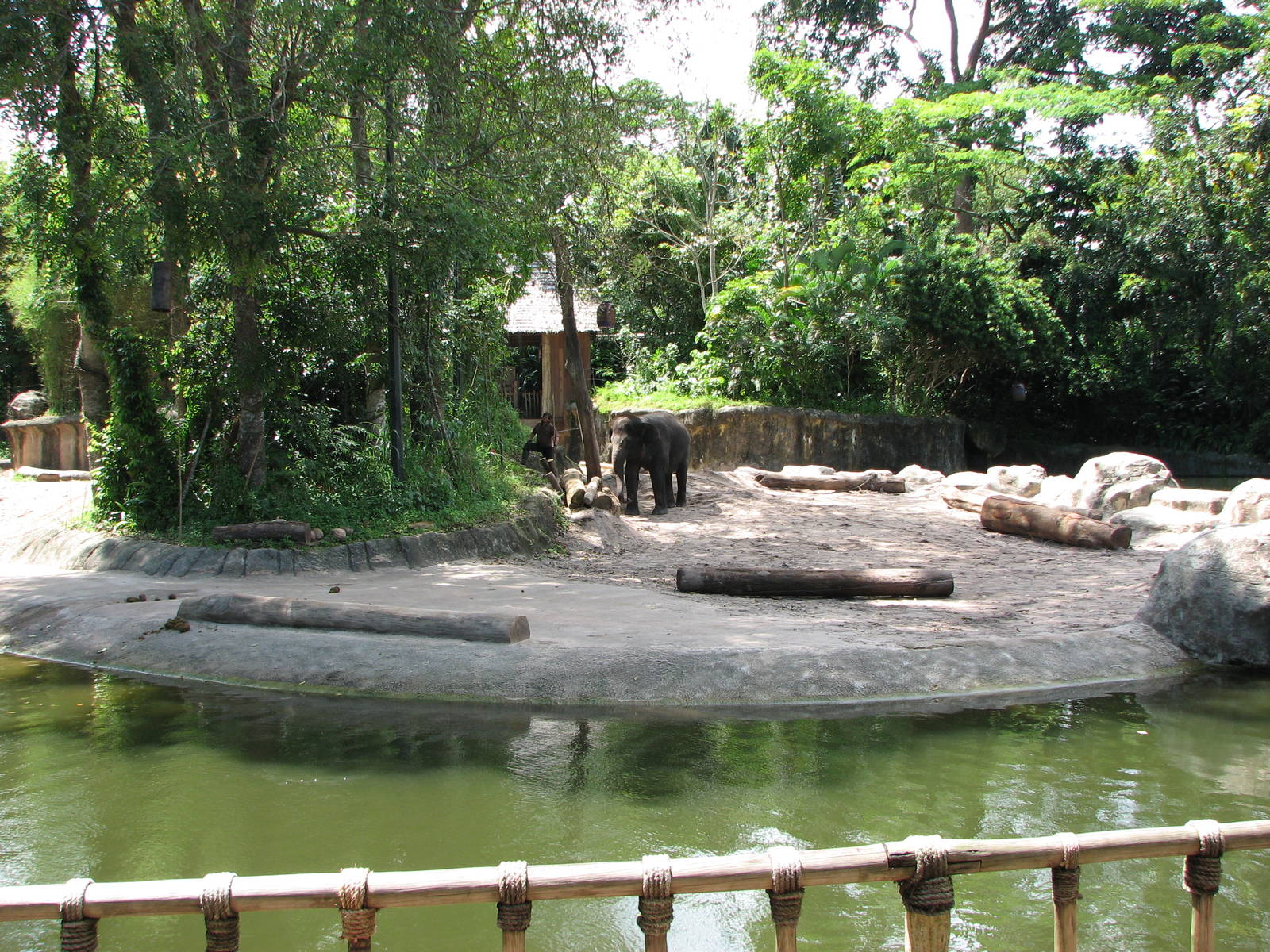 Singapore Zoo 2008 - Front of an exhibit in Elephants of Asia