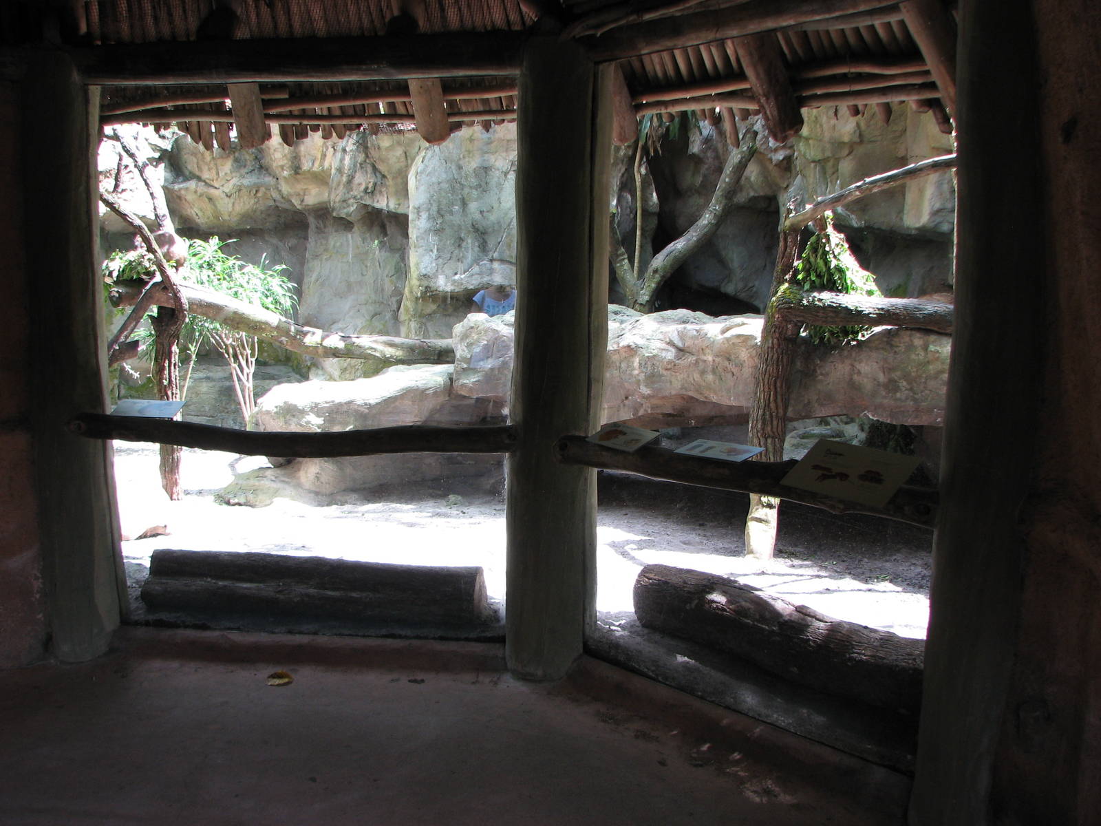 Singapore Zoo 2008 - Front of Rock Hyrax exhibit in the Great Rift Valley o