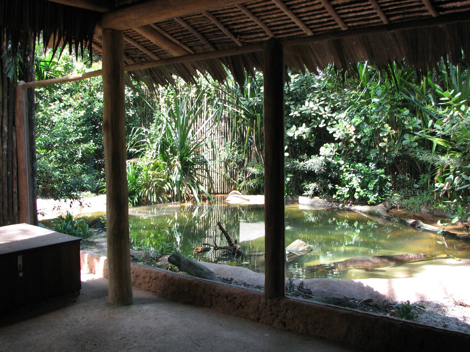 Singapore Zoo 2008 - Front of the False Gavial exhibit