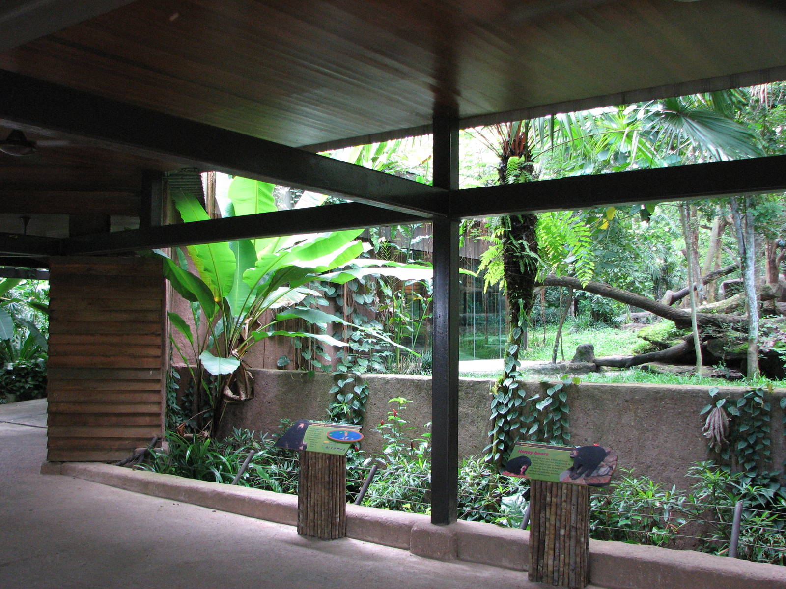Singapore Zoo 2008 - Front of the Malayan Sun Bear exhibit