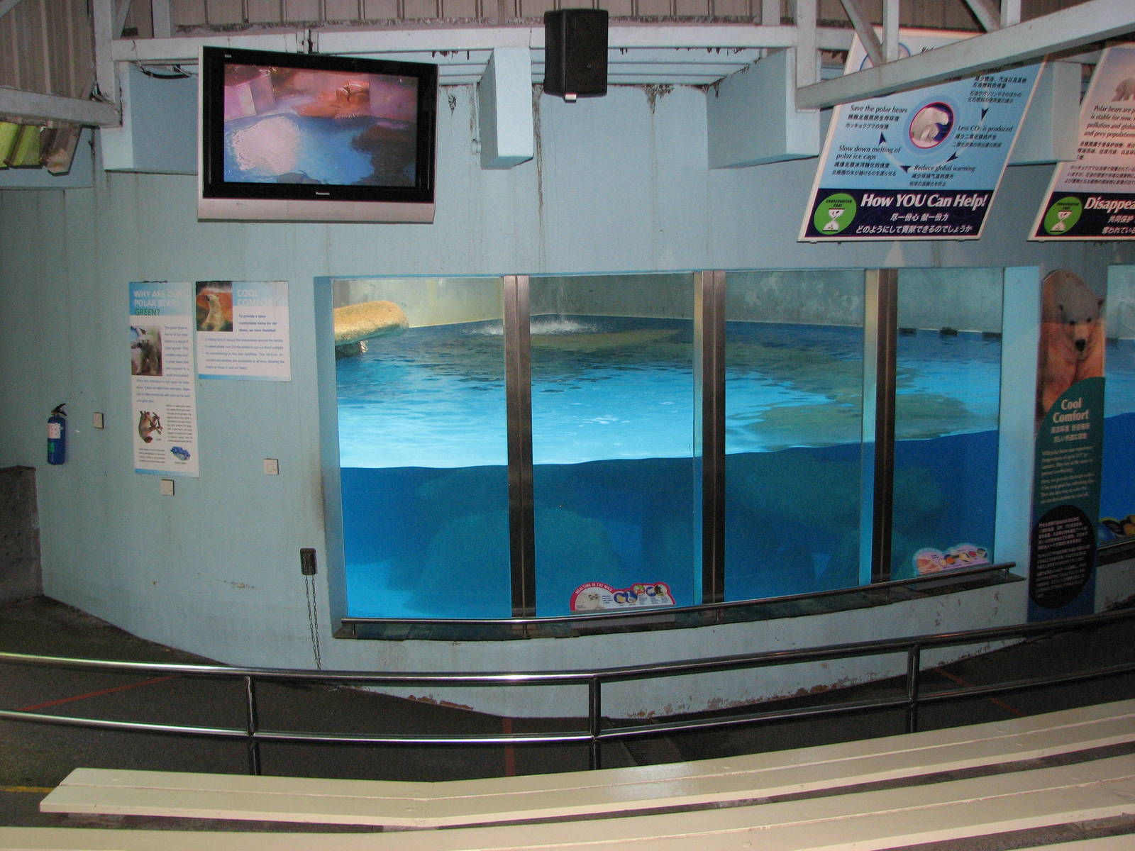 Singapore Zoo 2008 - Front of the Polar Bear exhibit