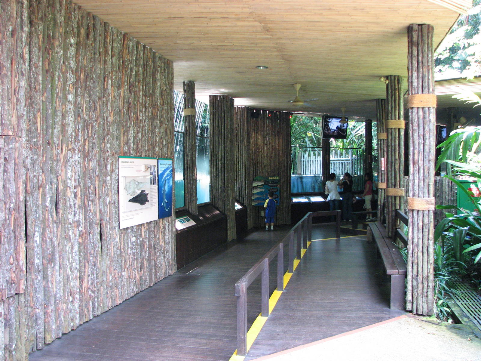 Singapore Zoo 2008 - Indo-Pacific Estuarine Crocodile exhibit in the Bornea
