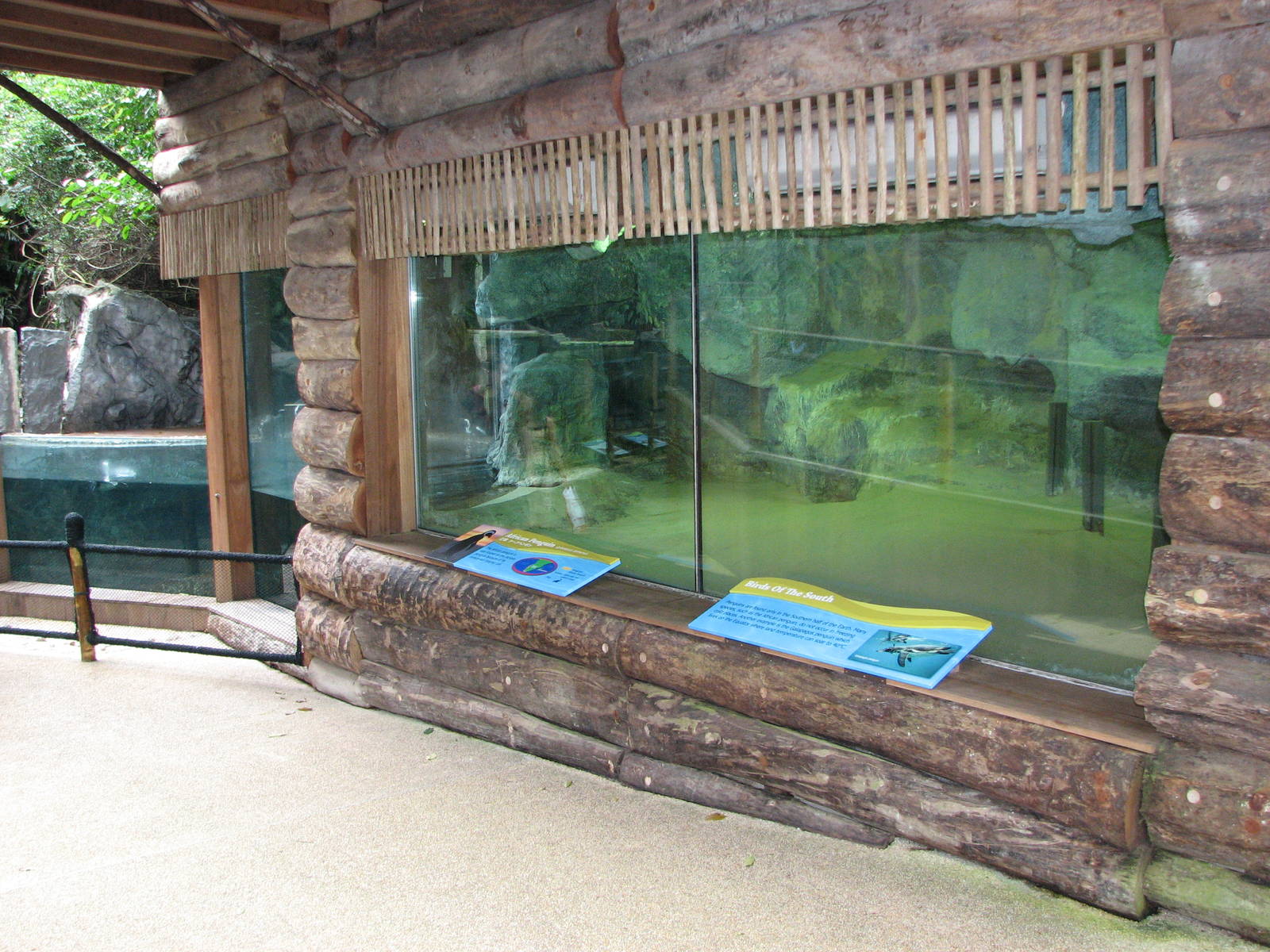Singapore Zoo 2008 - Indoor exhibit for Jackass Penguins