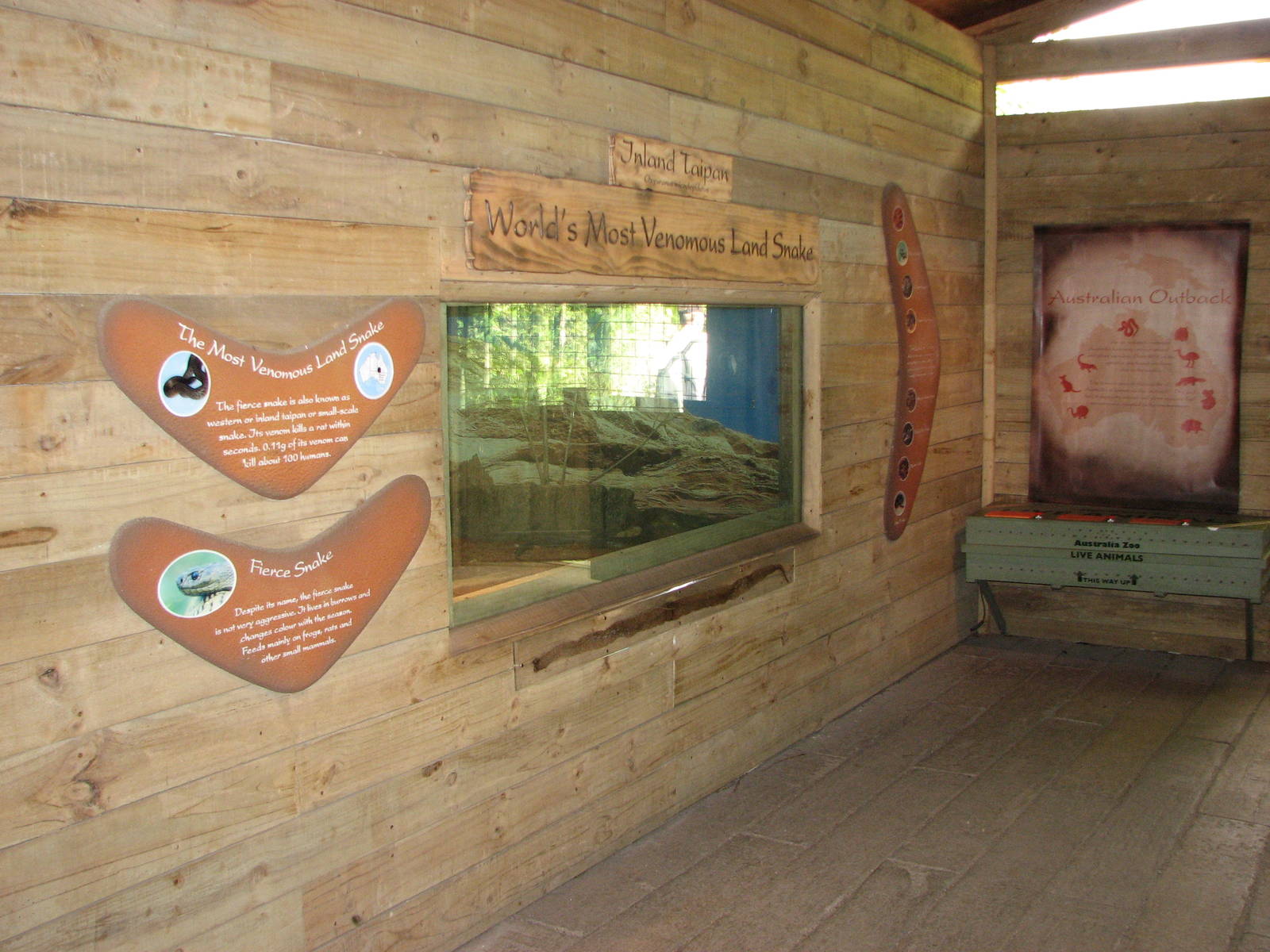 Singapore Zoo 2008 - Inland Taipan exhibit at the Australian Outback