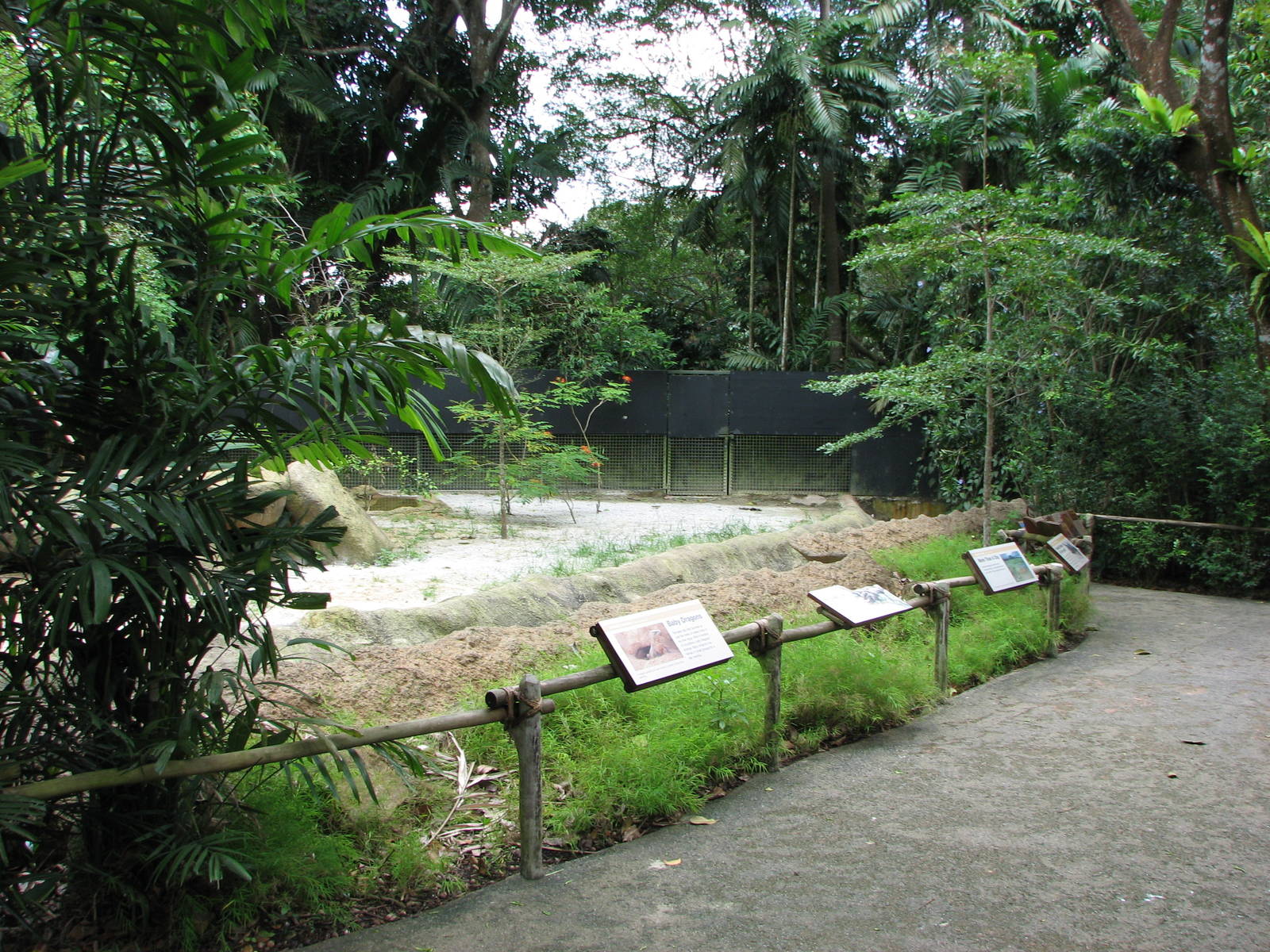 Singapore Zoo 2008 - Komodo Dragon exhibit
