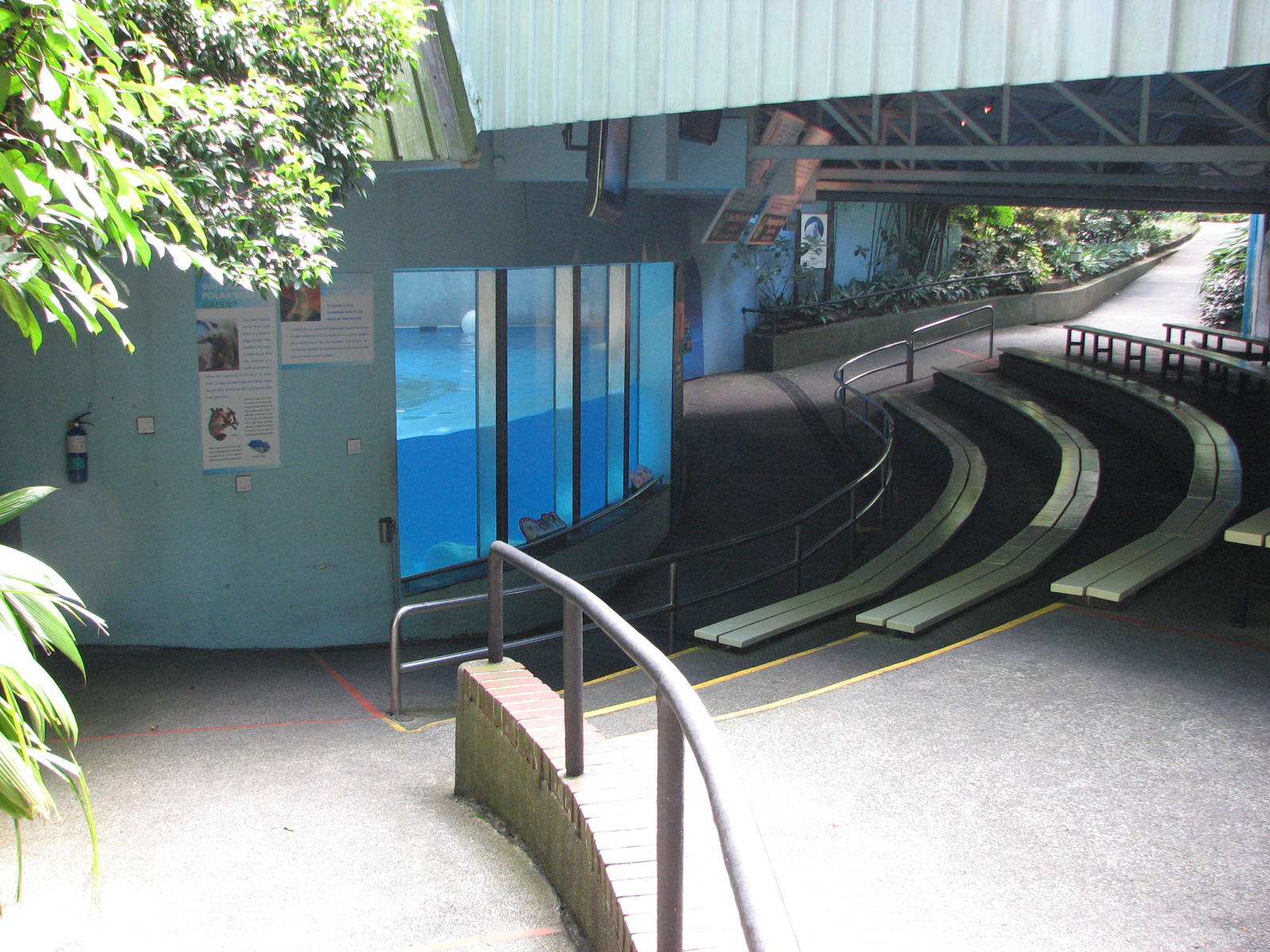 Singapore Zoo 2008 - Left-side of the Polar Bear viewing area