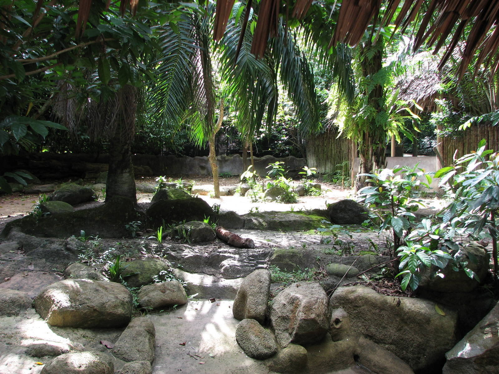 Singapore Zoo 2008 - Malayan Tapir exhibit