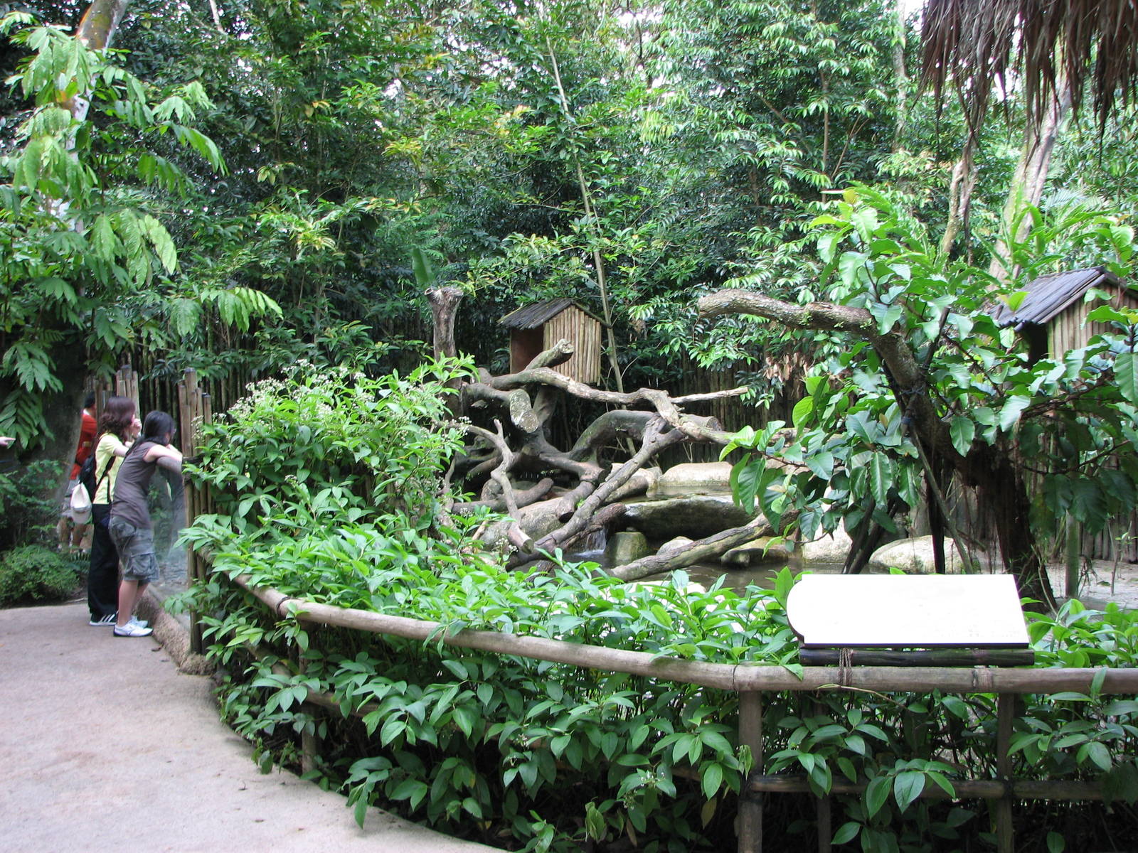 Singapore Zoo 2008 - Otter exhibit