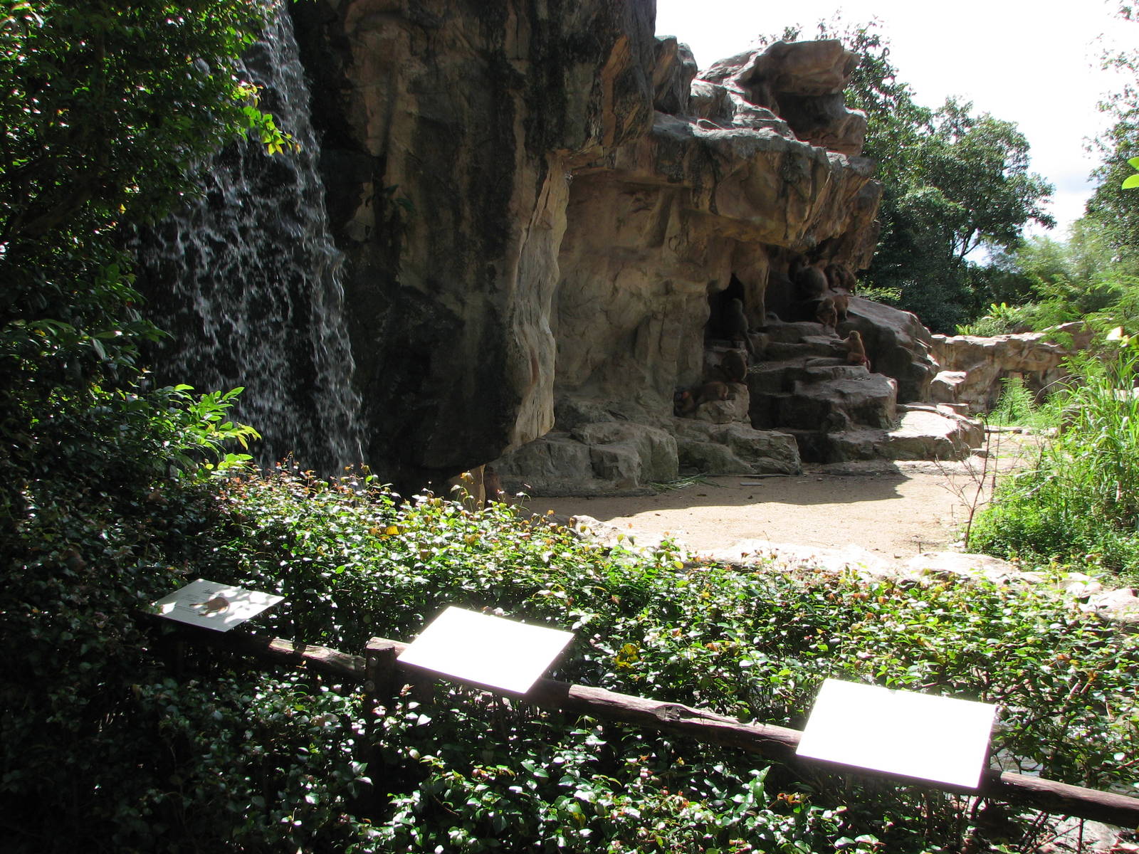 Singapore Zoo 2008 - Part of exhibit for Nubian Ibex and Hamadryas Baboons