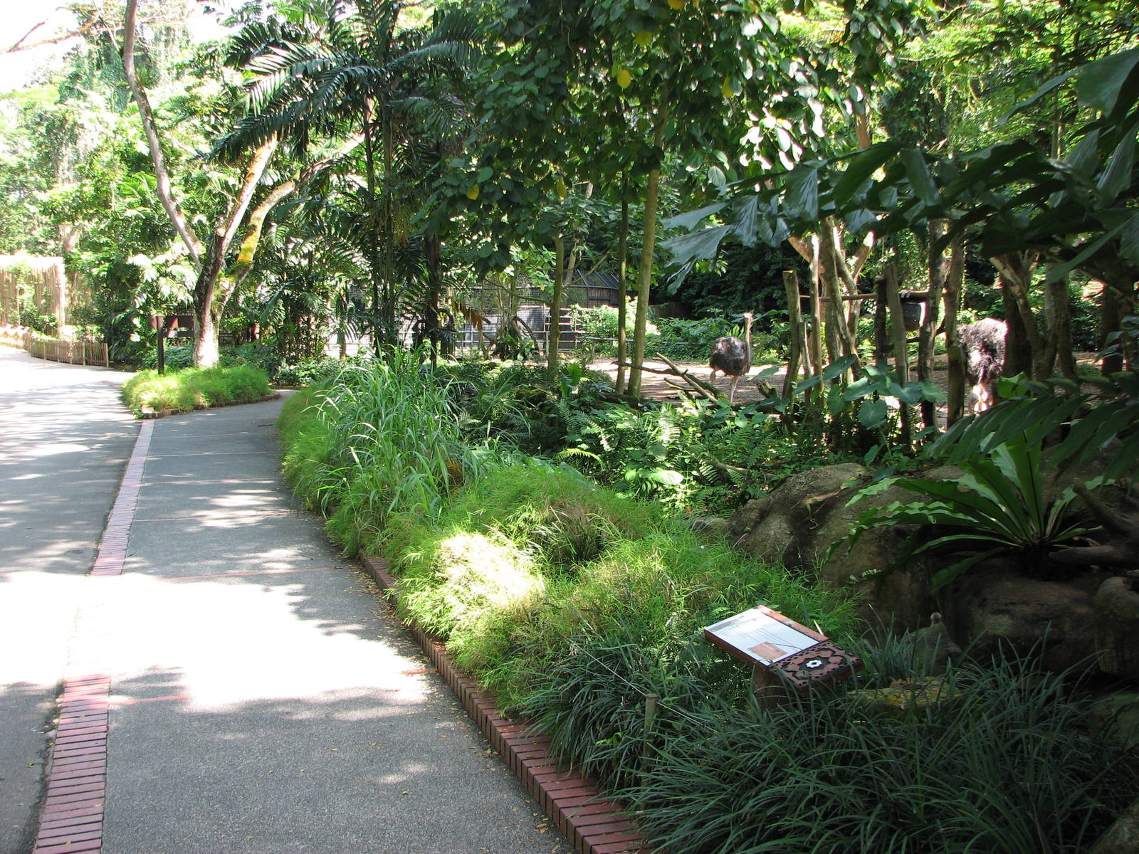 Singapore Zoo 2008 - Pathway and visitor area in front of the Ostrich exhib