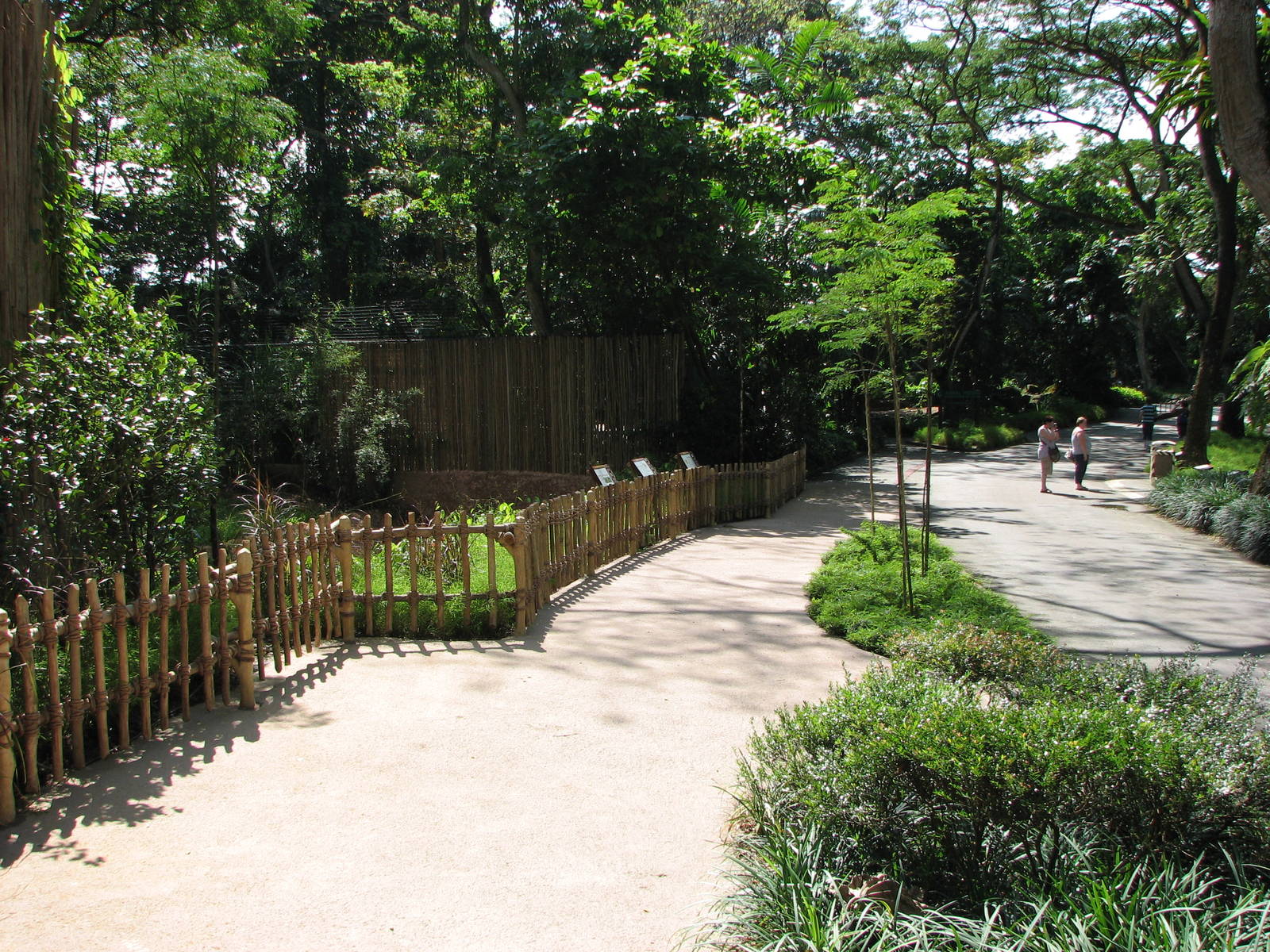 Singapore Zoo 2008 - Pathway in Wild Africa