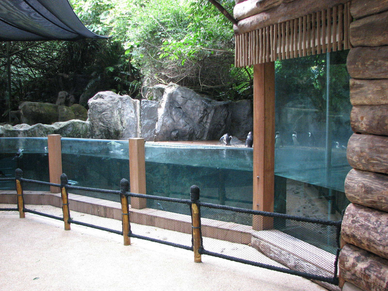 Singapore Zoo 2008 - Right side of the Splash Amphitheatre