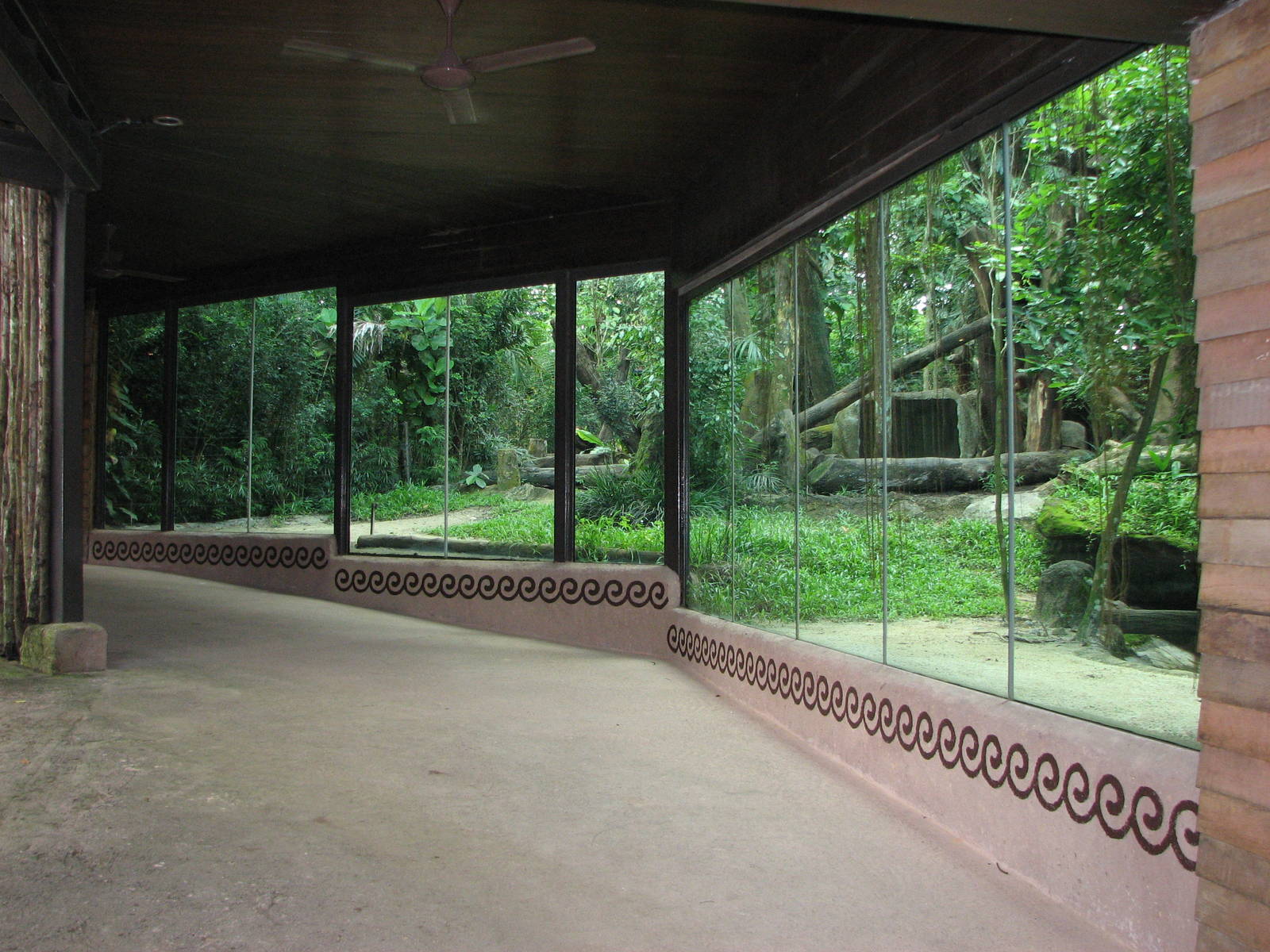 Singapore Zoo 2008 - Side of the Malayan Sun Bear exhibit