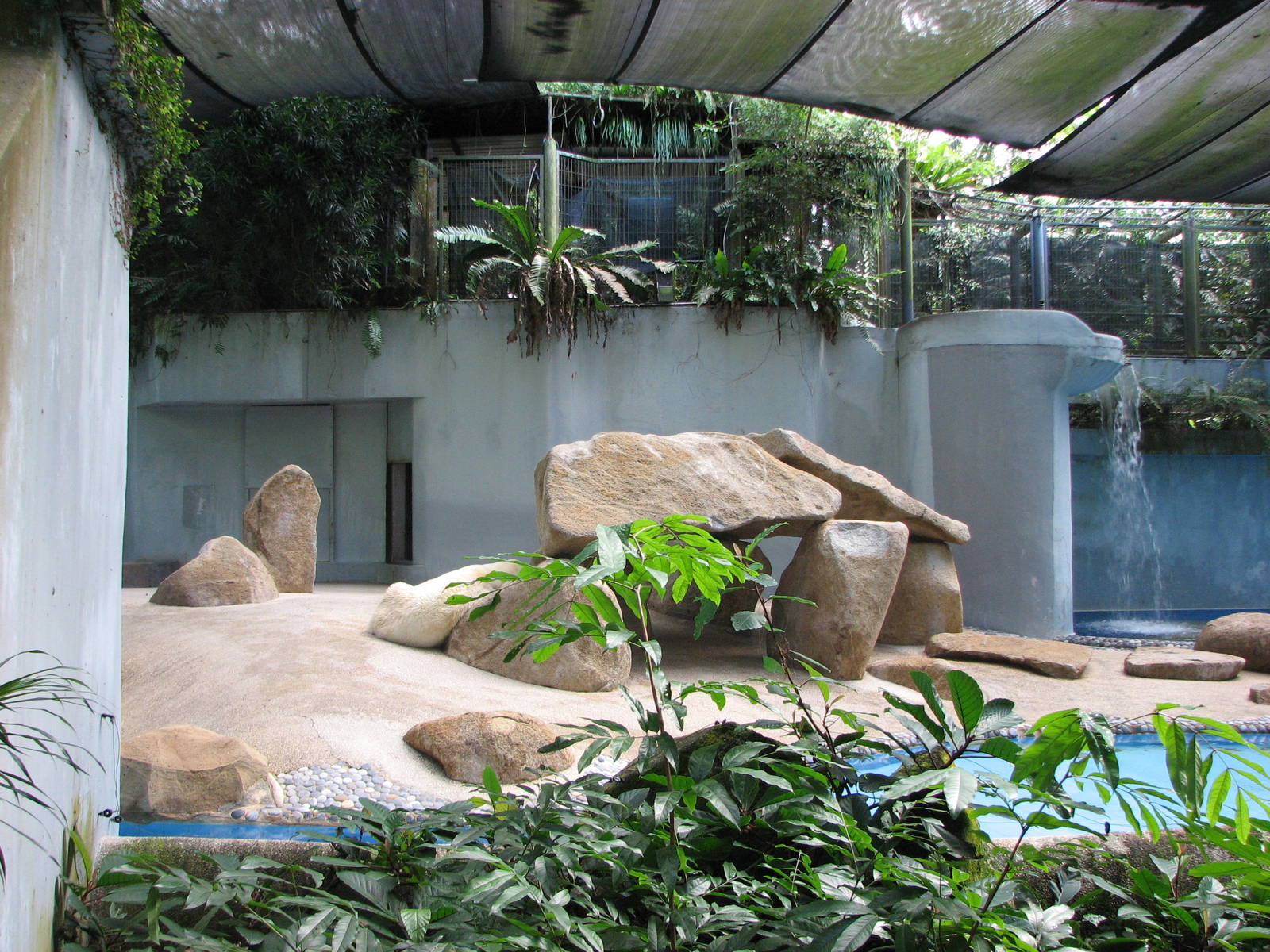 Singapore Zoo 2008 - Side-view of the Polar Bear exhibit