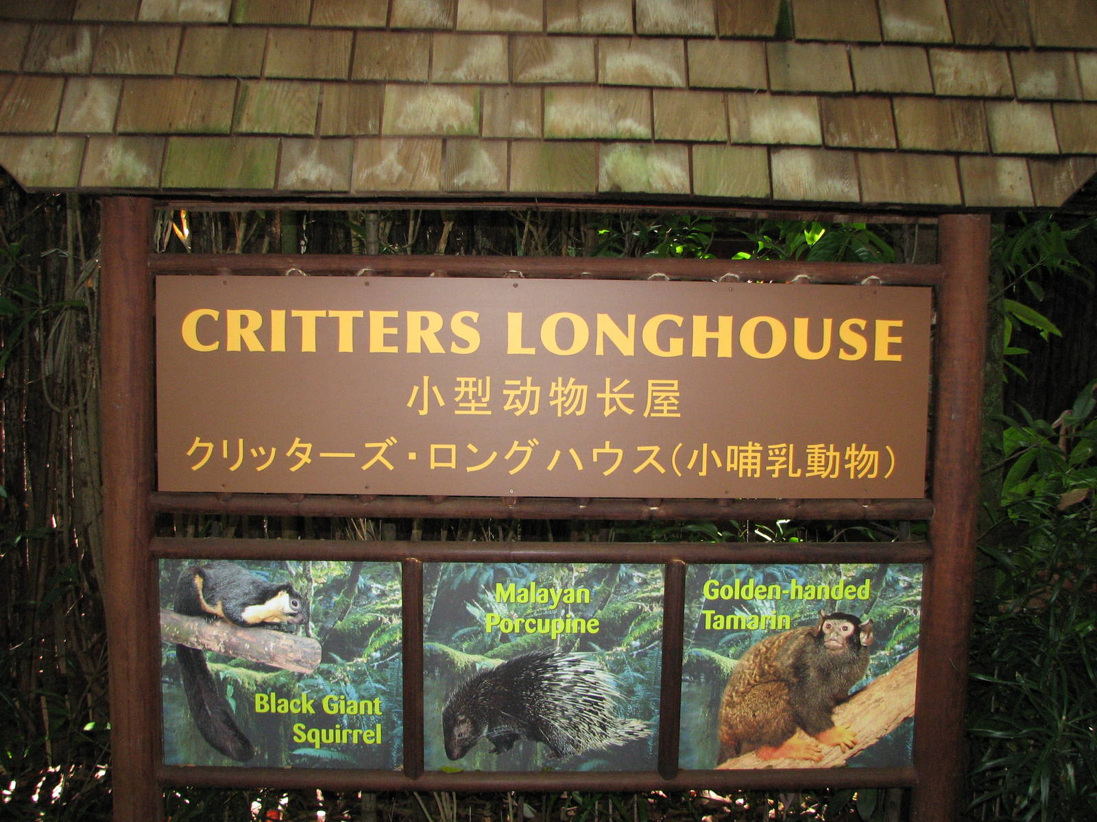 Singapore Zoo 2008 - Sign outside the Critters Longhouse