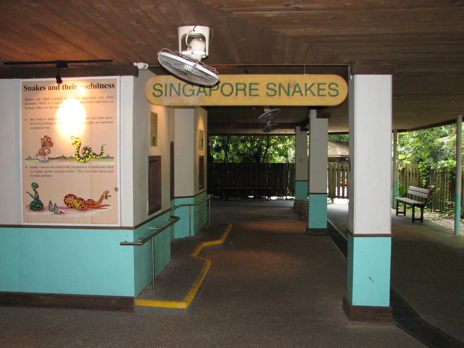 Singapore Zoo 2008 - Singapore Snakes section in the Snake House