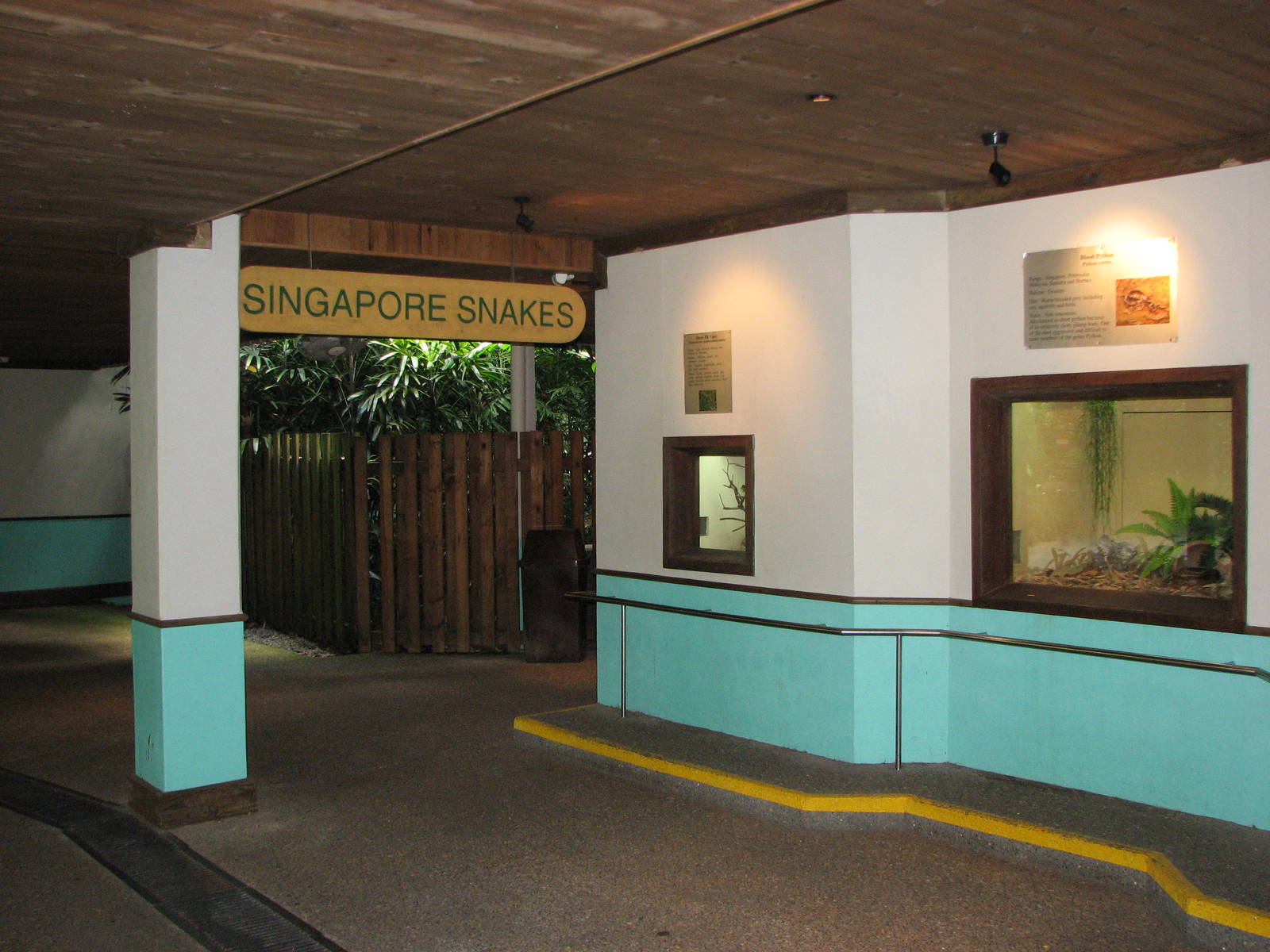 Singapore Zoo 2008 - Singapore Snakes section in the Snake House