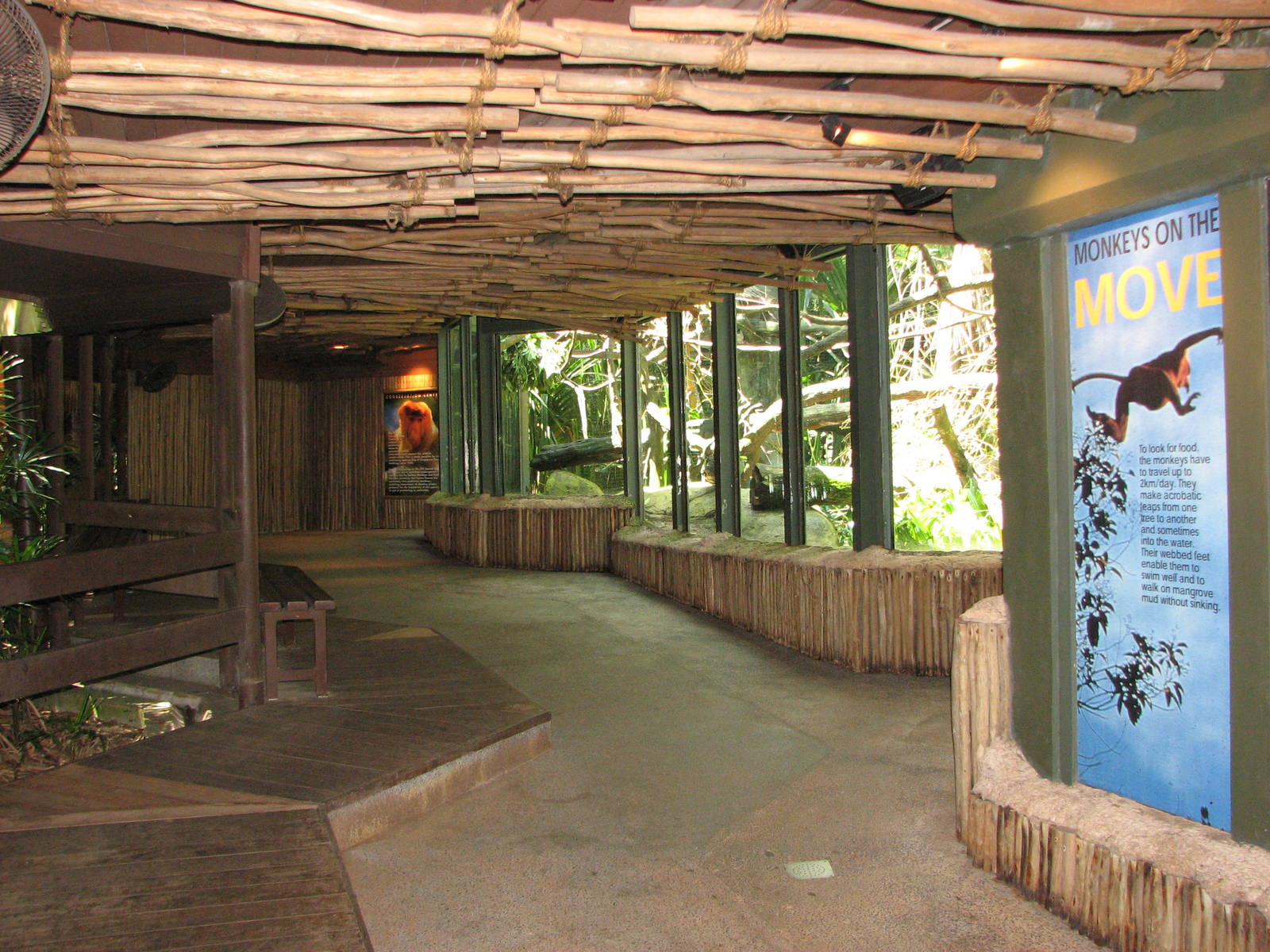 Singapore Zoo 2008 - Viewing area at the Proboscis Monkey exhibit