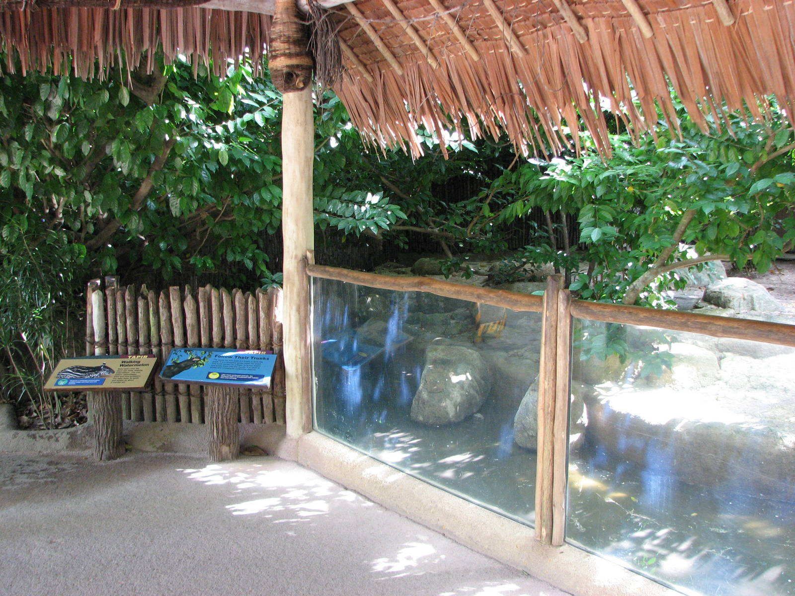 Singapore Zoo 2008 - Viewing deck in front of the Malayan Tapir exhibit