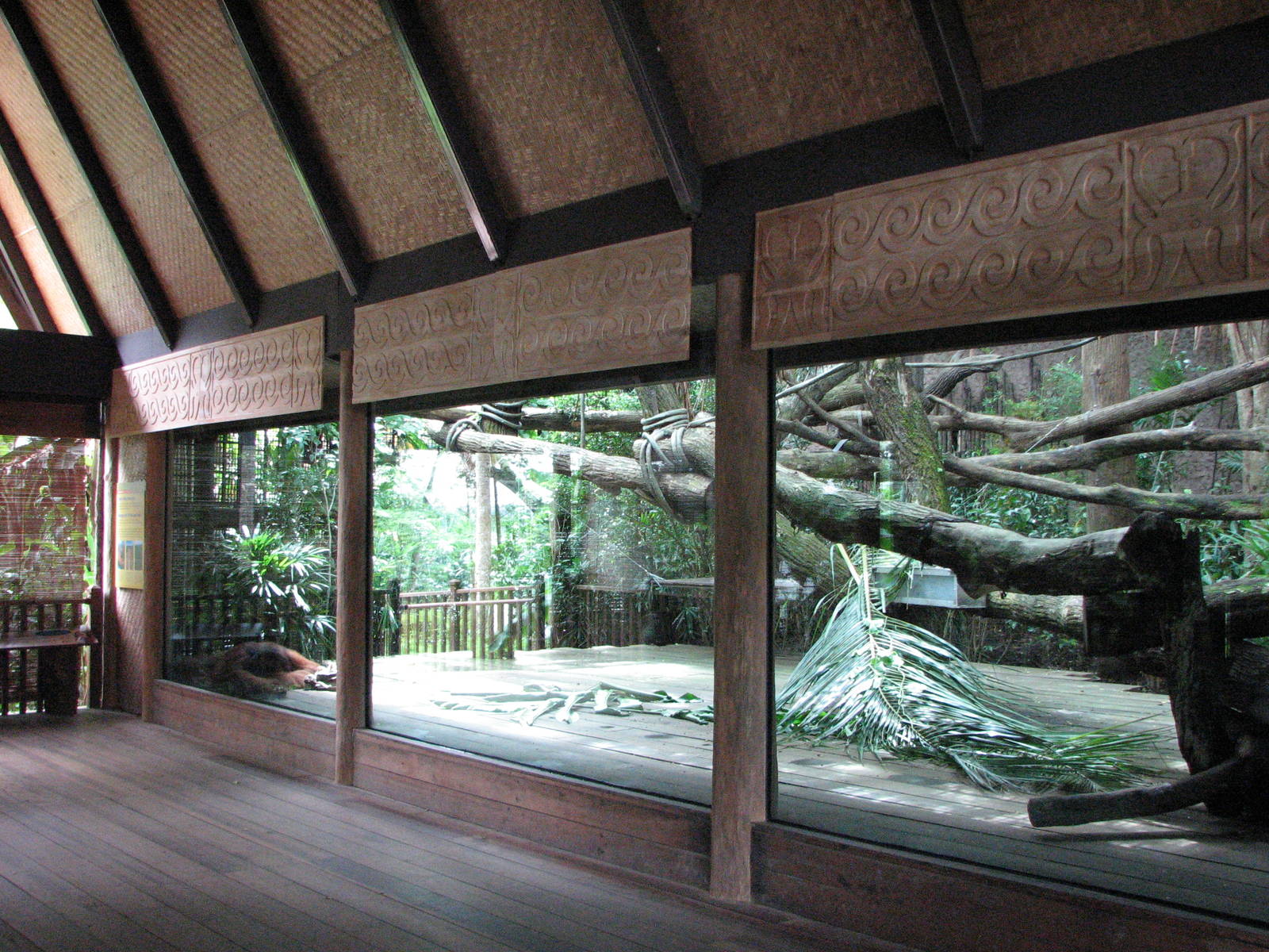 Singapore Zoo 2008 - Viewing deck in front of the Sumatran Orangutan exhibi