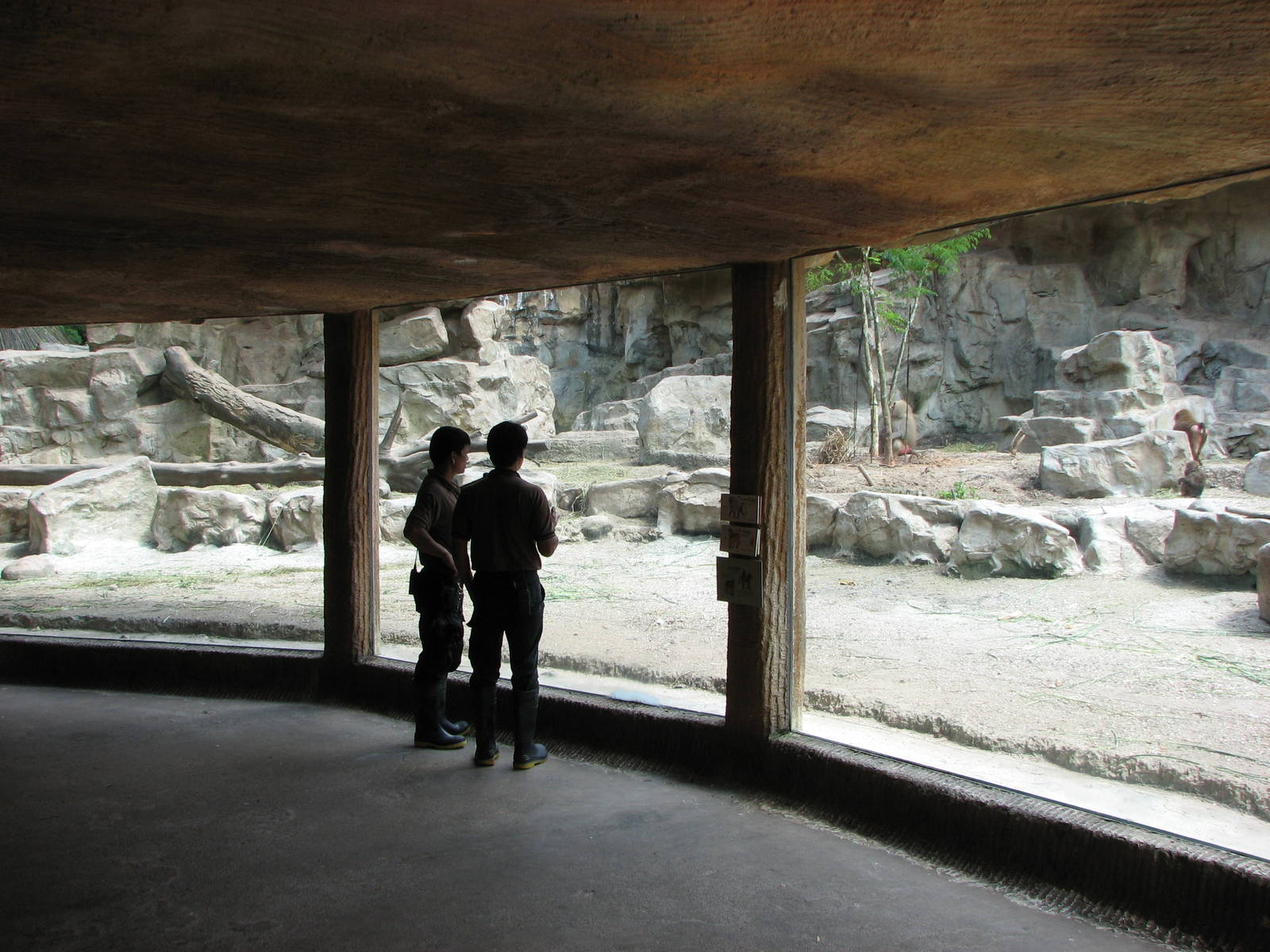 Singapore Zoo 2008 - Viewing room at the Great Rift Valley of Ethiopia