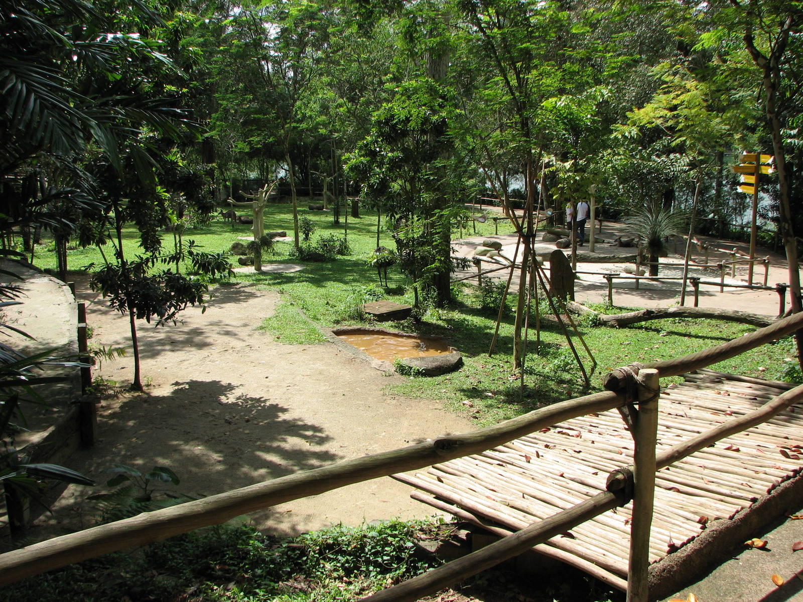 Singapore Zoo 2008 - Walk-through Australian exhibit at the Australian Outb