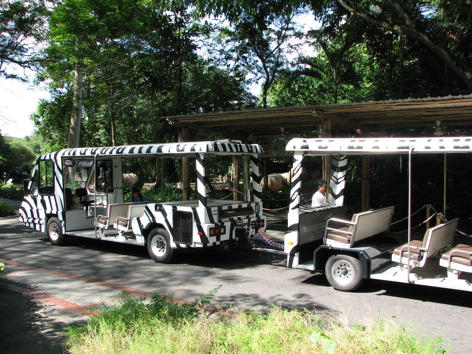 Singapore Zoo 2008 - Zoo Train