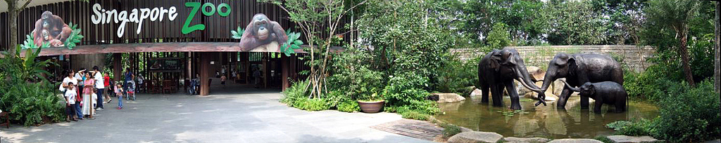 Singapore Zoo Entrance Panorama