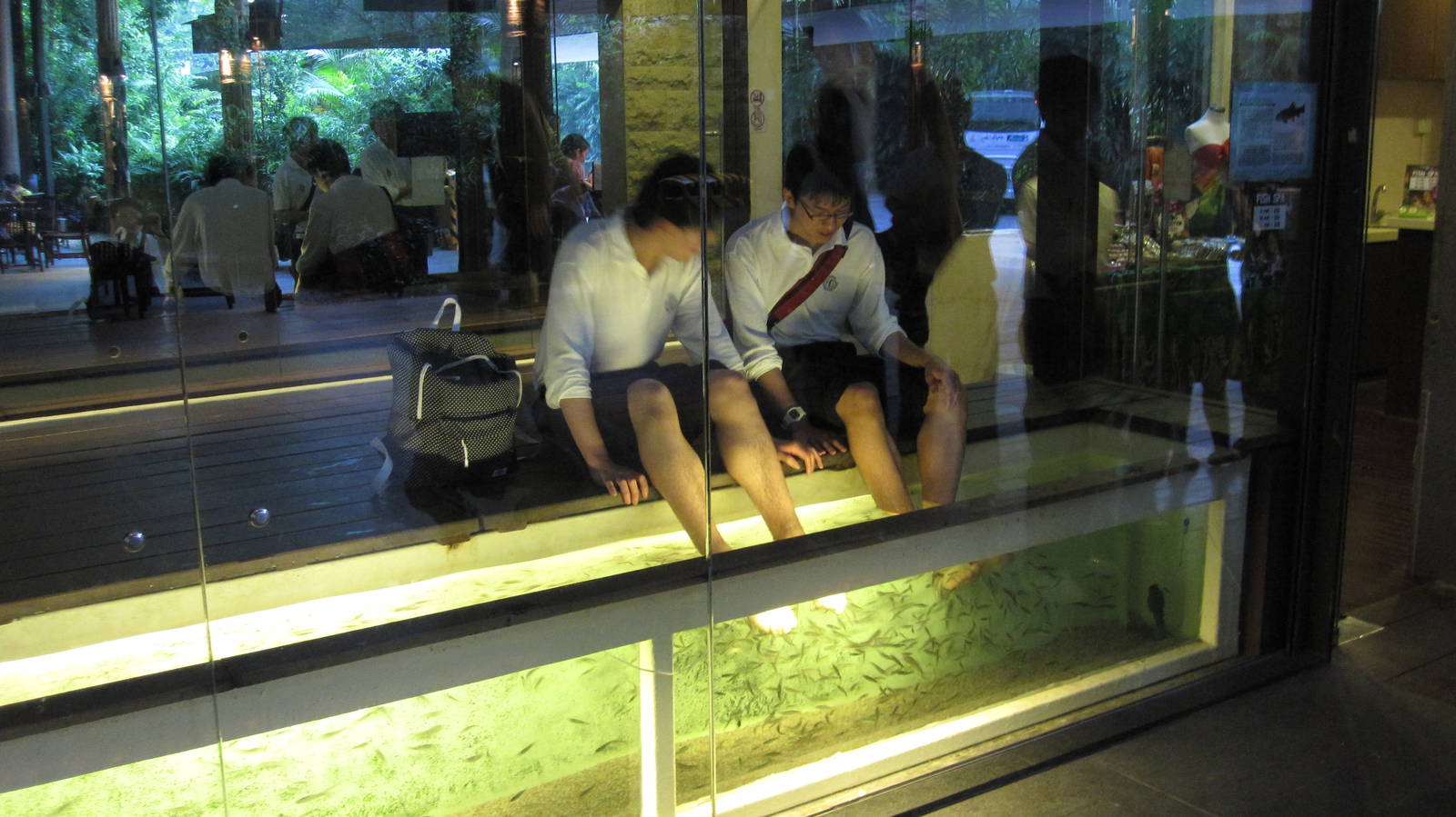 Singapore Zoo entrance plaza