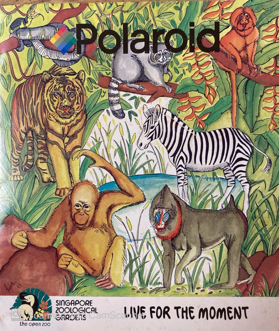 Singapore Zoo: 'The Open Zoo' (Polaroid Memorabilia, 1999)