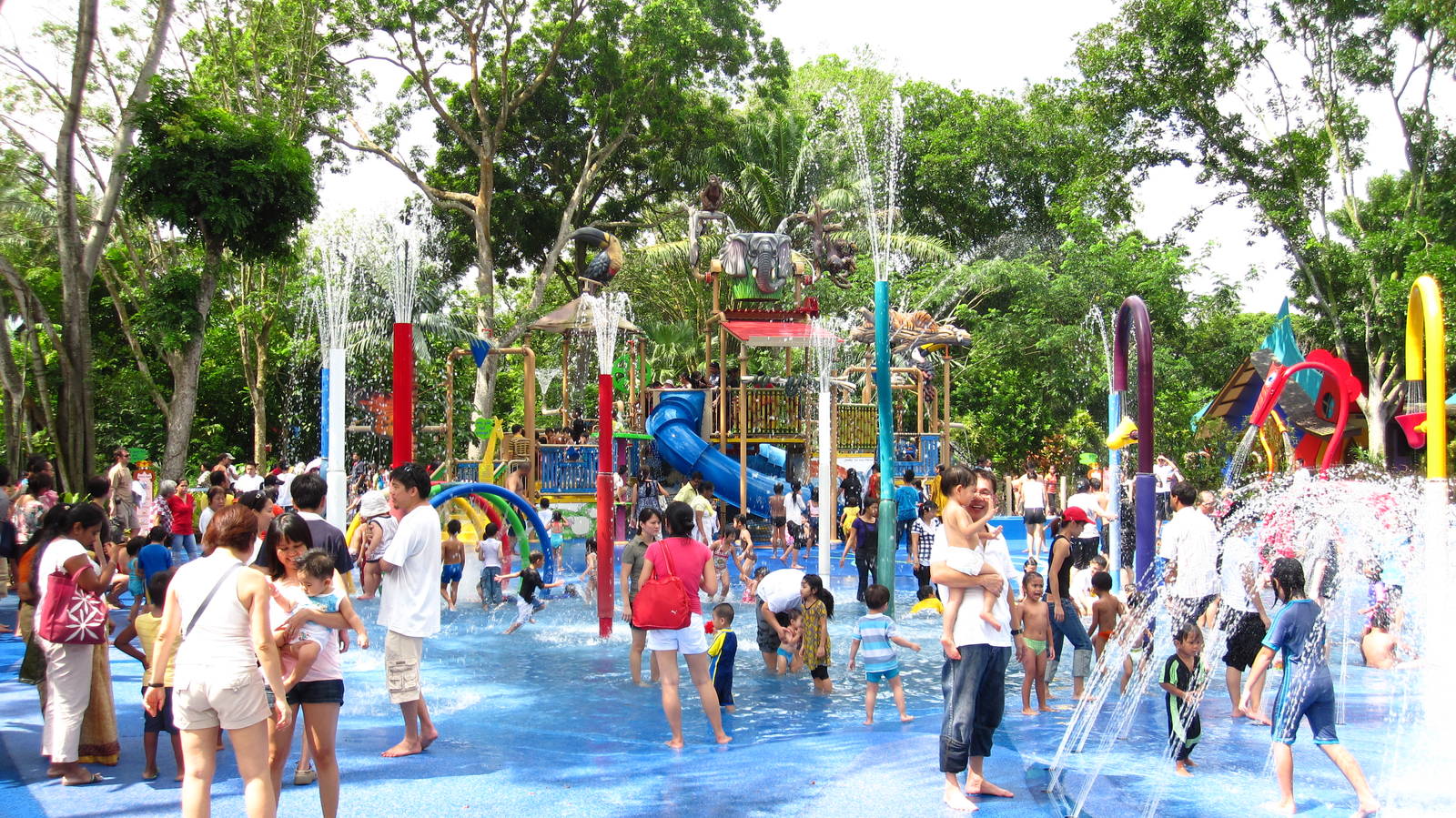 Singapore Zoo's Top Attraction