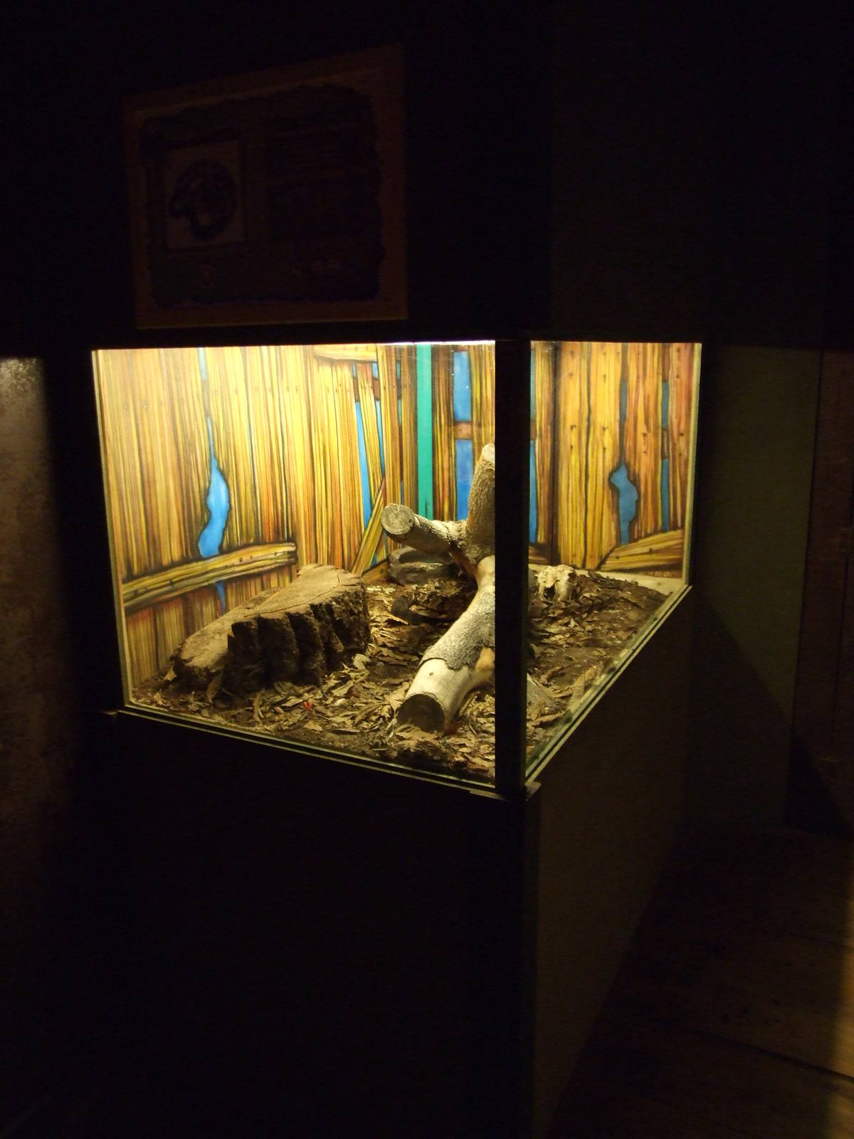 sioux city Venom Center Gran Canaria