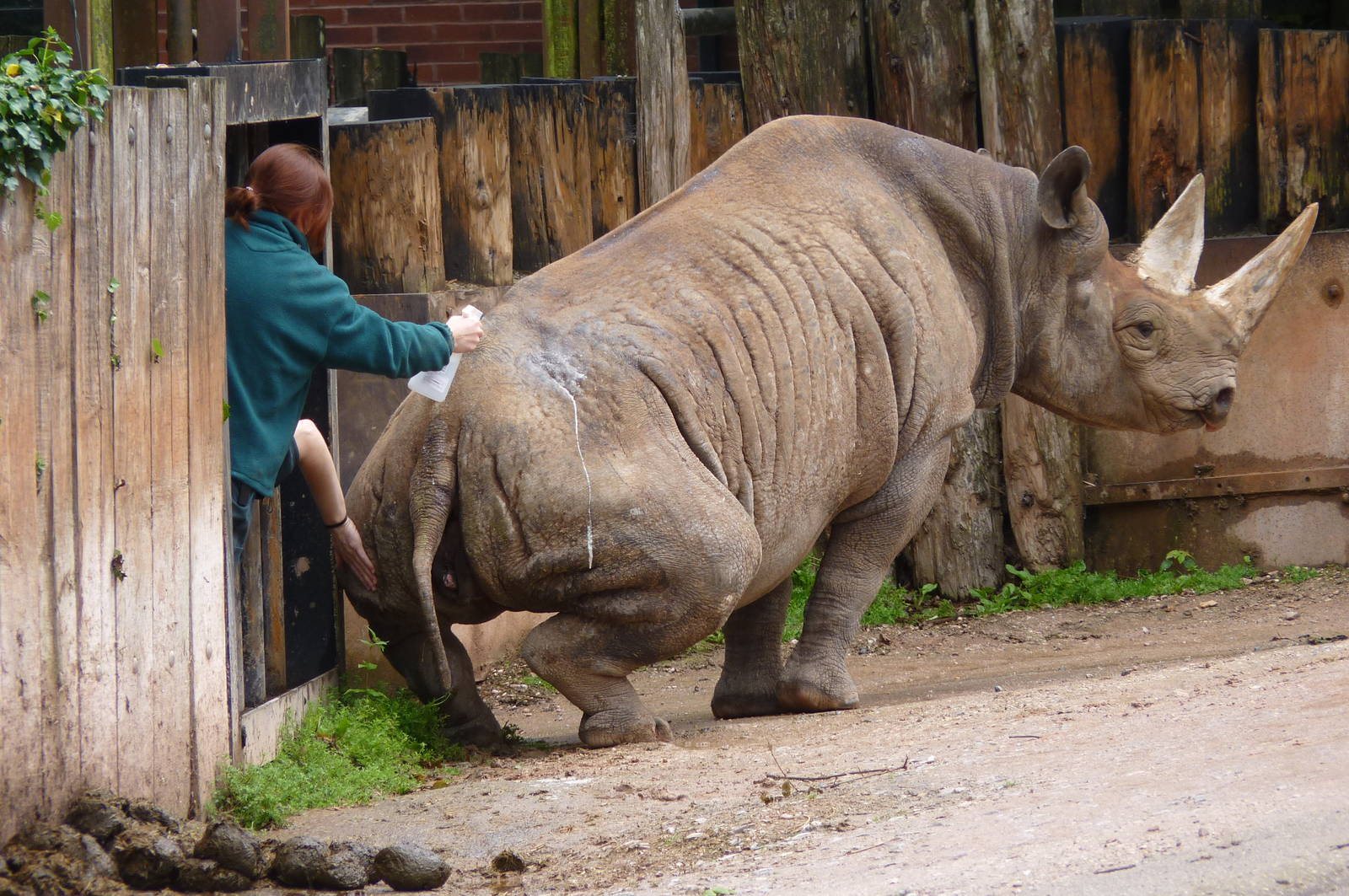 Sit, Sita! 4 July 2012