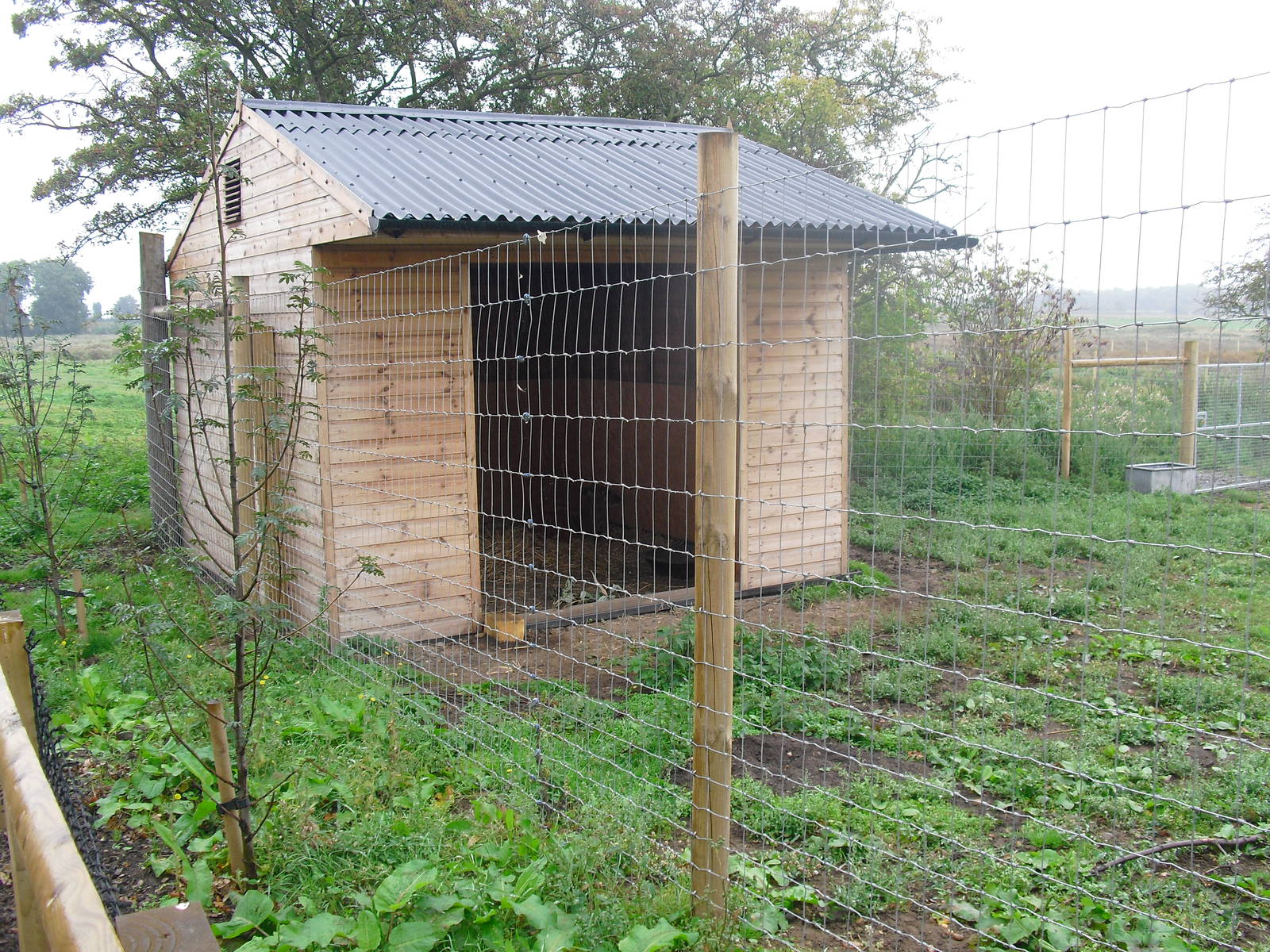 Sitatunga (?) - 06/09/2011