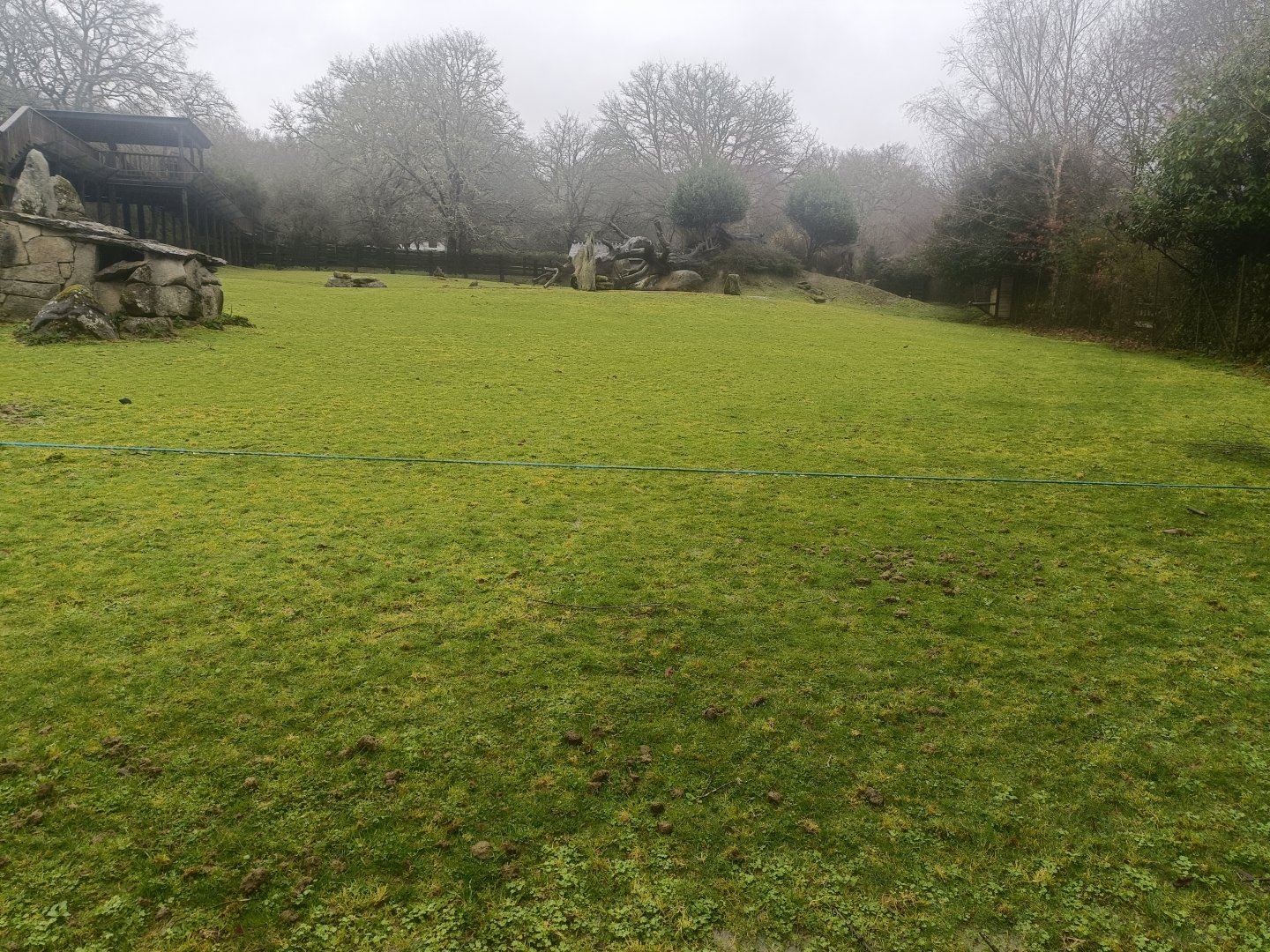 Sitatunga and common eland exhibit -Marcelle Naturaleza