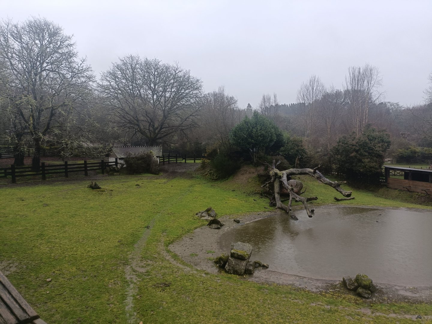 Sitatunga and common eland exhibit -Marcelle Naturaleza