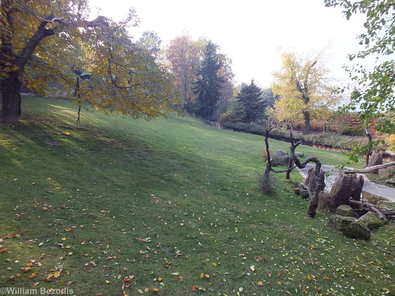 Sitatunga and Southern Ground Hornbill Paddock
