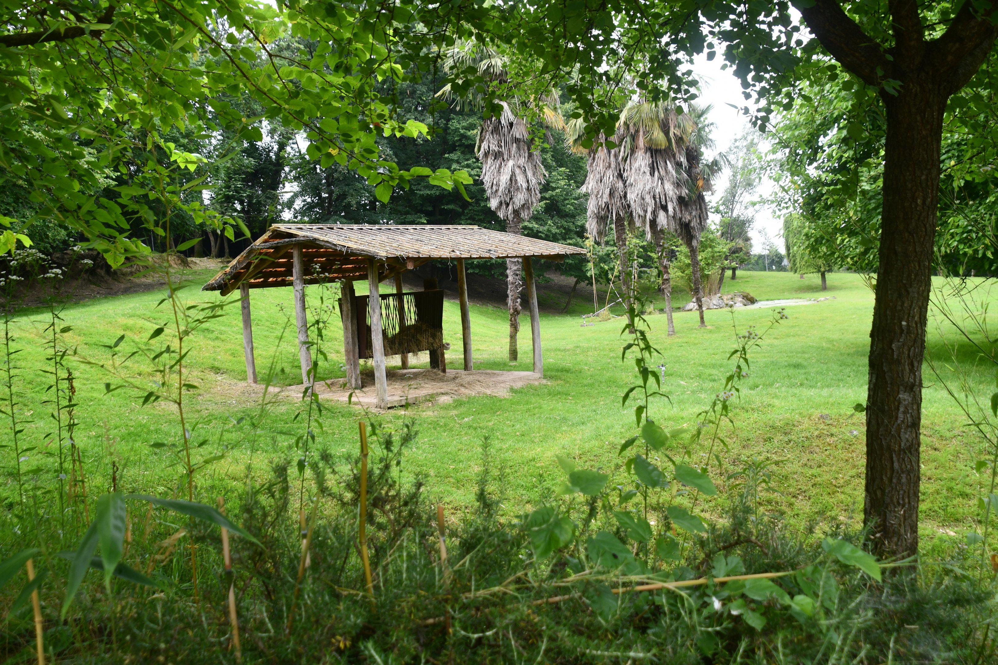 Sitatunga and Springbok exhibit