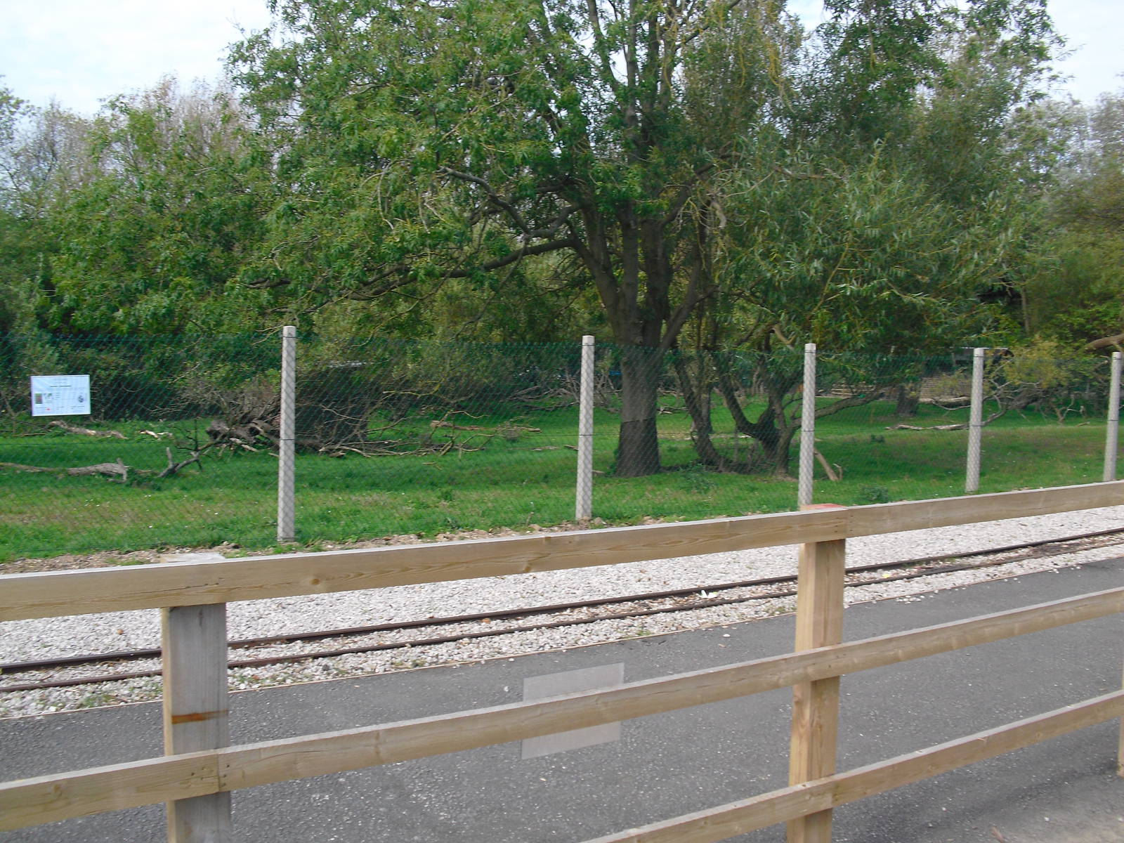 Sitatunga Enclosure - 01/10/2011