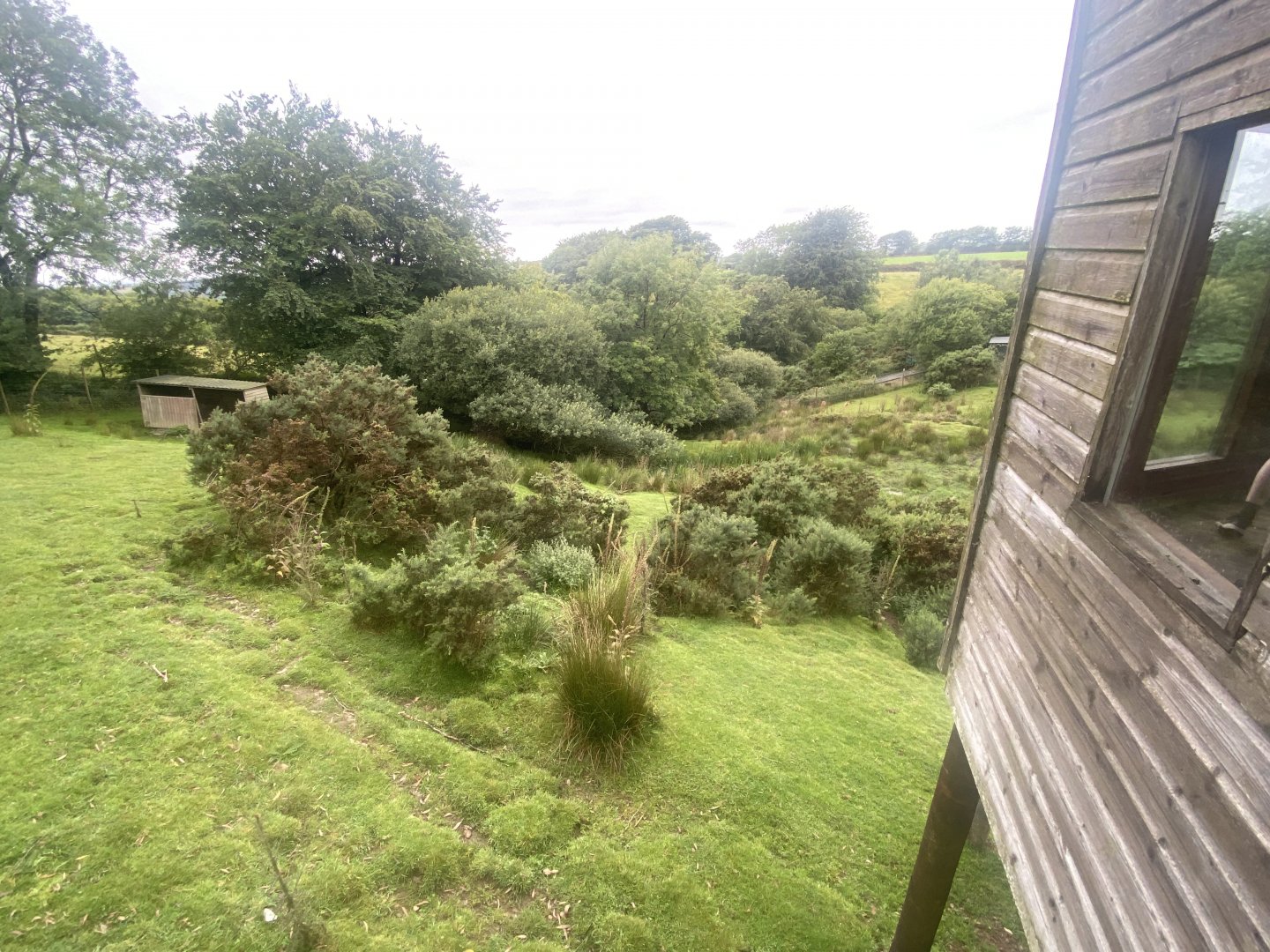Sitatunga enclosure 020822