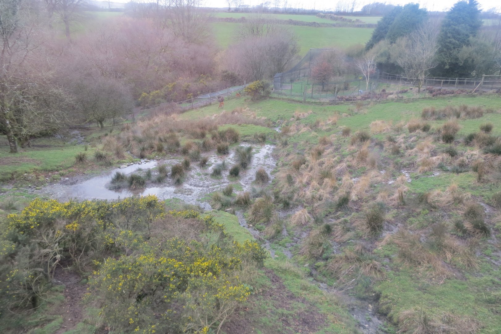 Sitatunga enclosure 040319