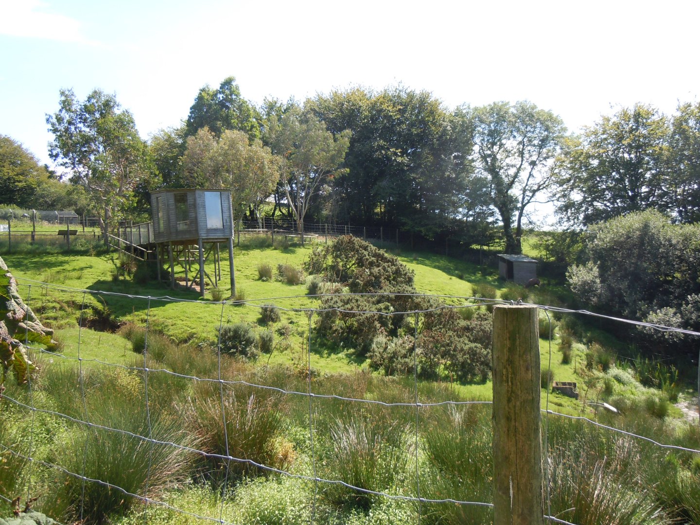 Sitatunga enclosure 070820