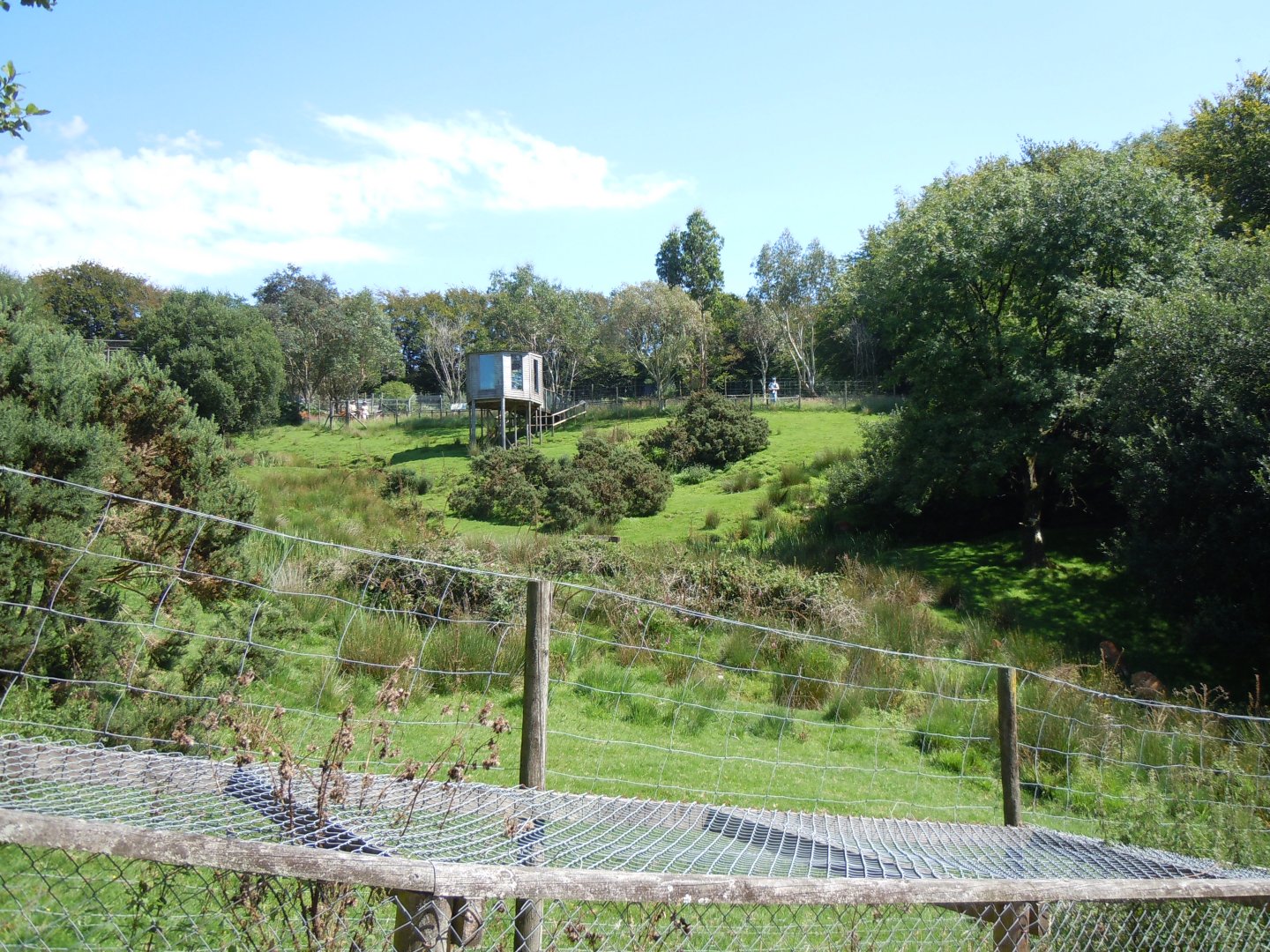 Sitatunga enclosure 070820