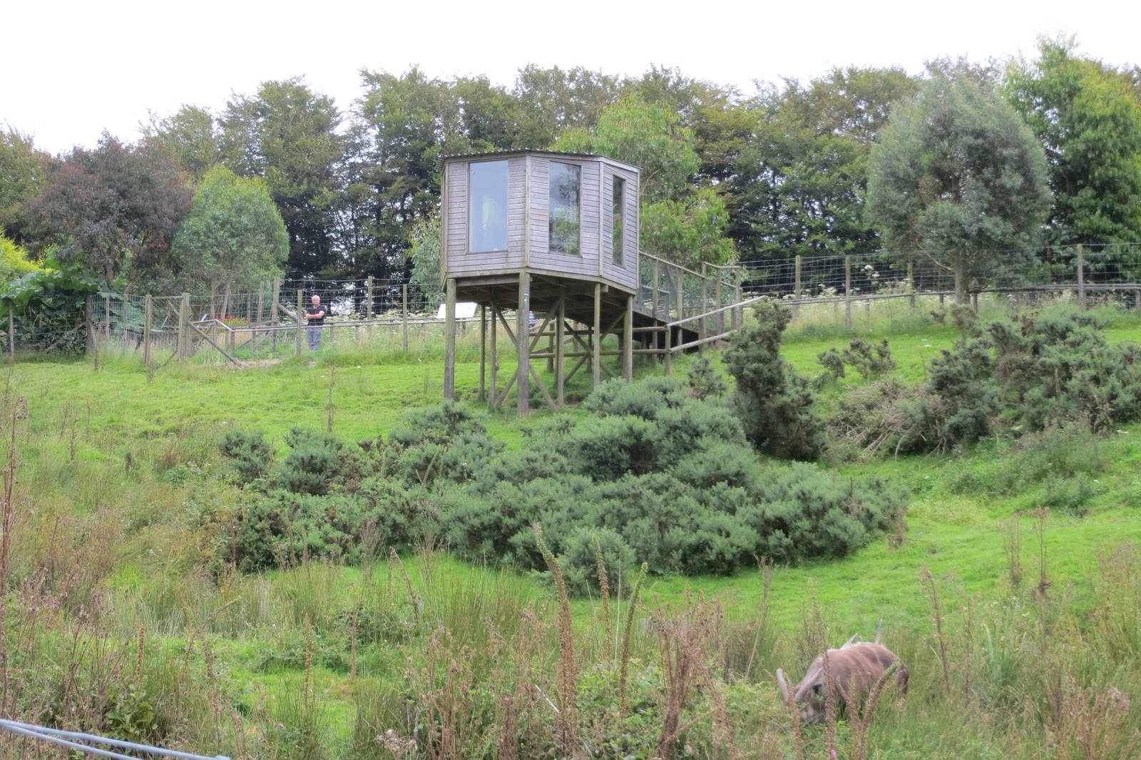 Sitatunga enclosure 090815