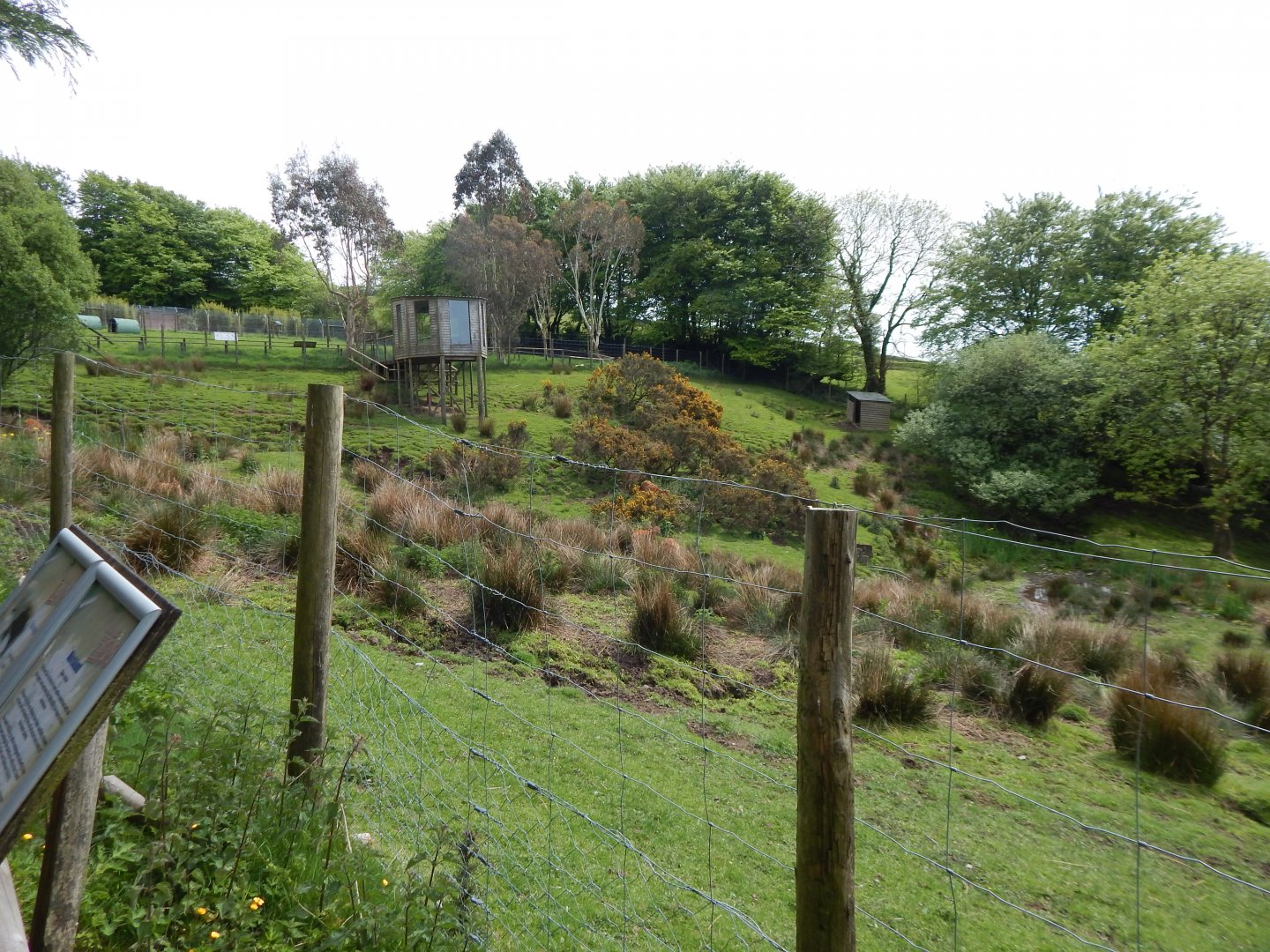 Sitatunga enclosure 150522