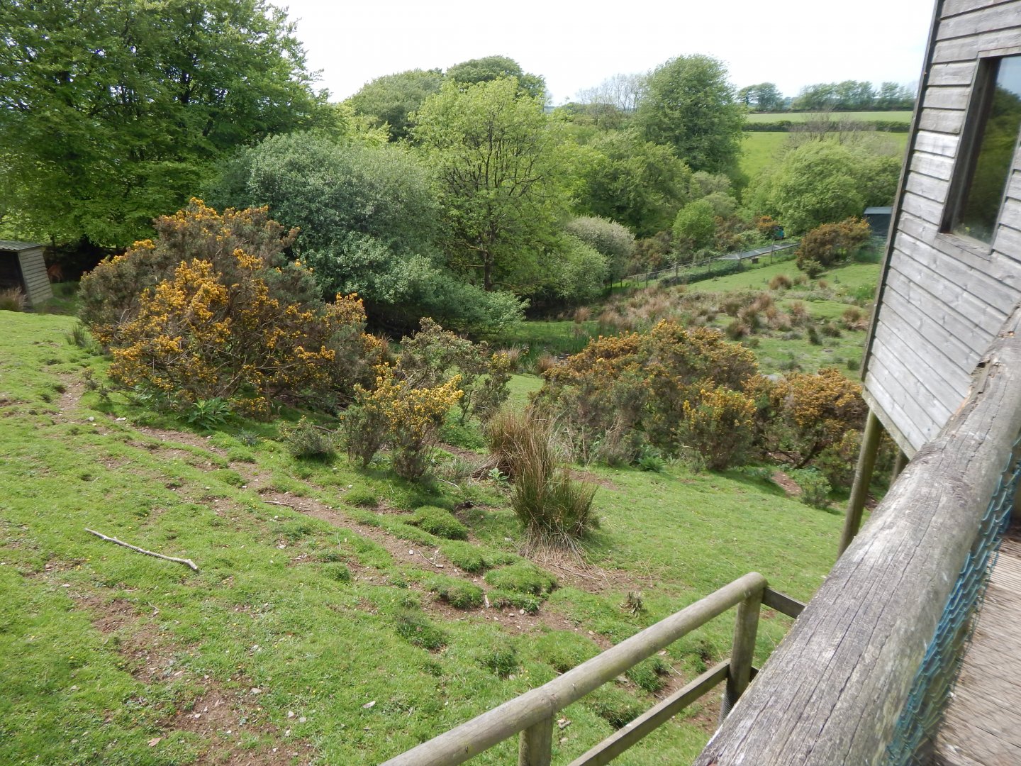Sitatunga enclosure 150522